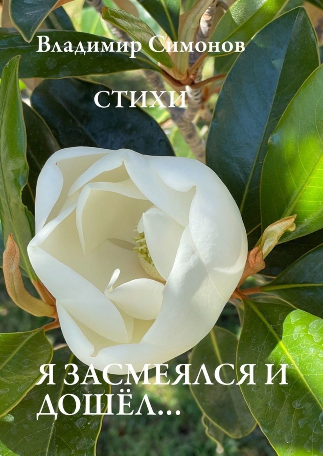 Обложка книги «Я засмеялся и дошёл… Стихи»