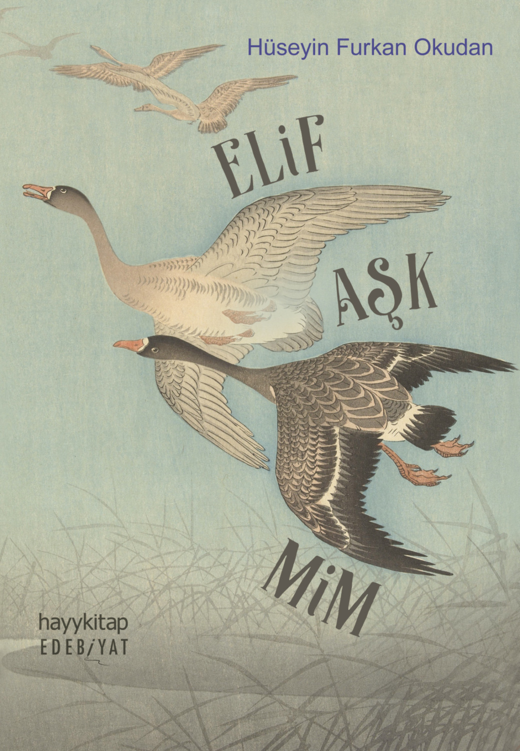 Обложка книги «Elif Aşk Mim»