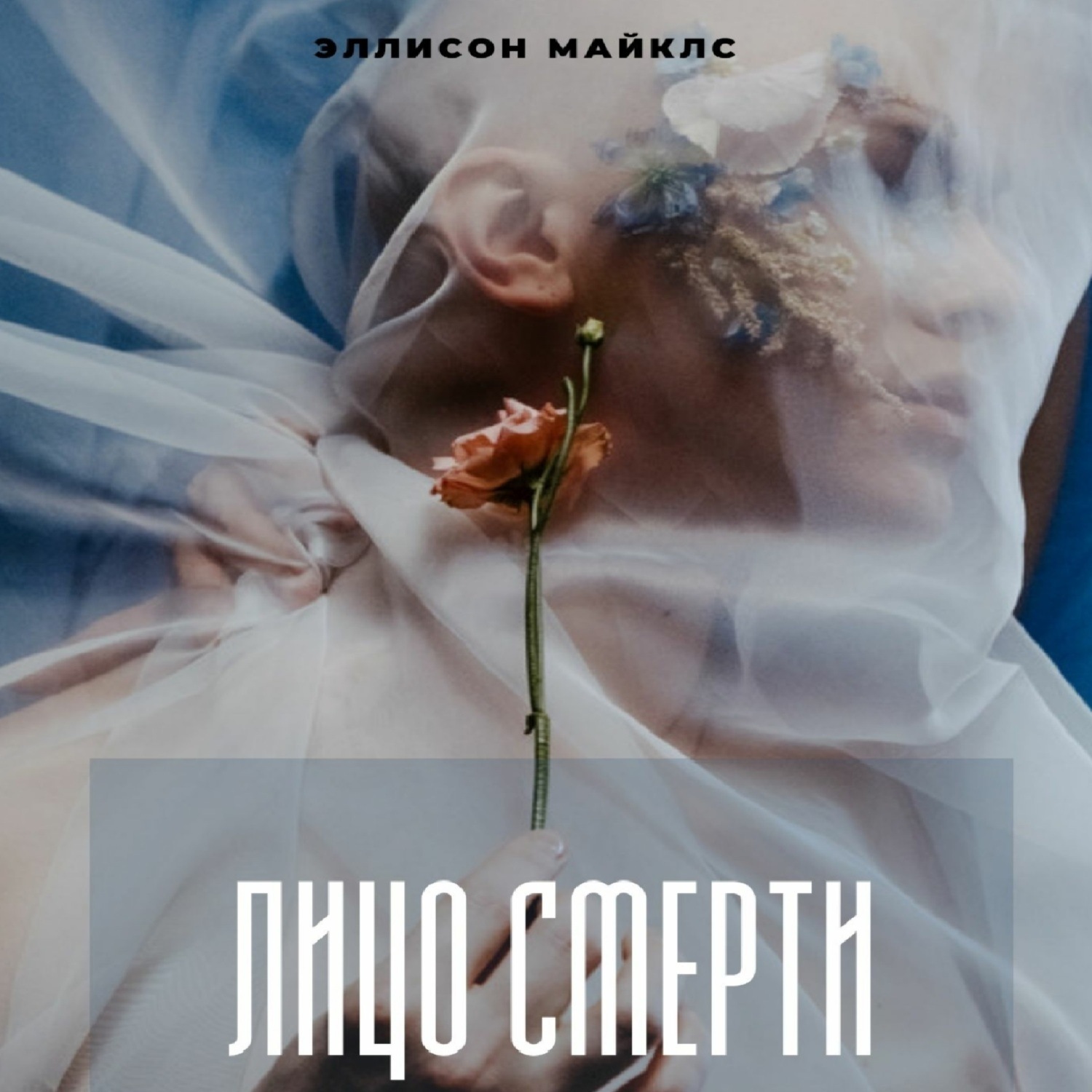 Обложка книги «Лицо смерти»