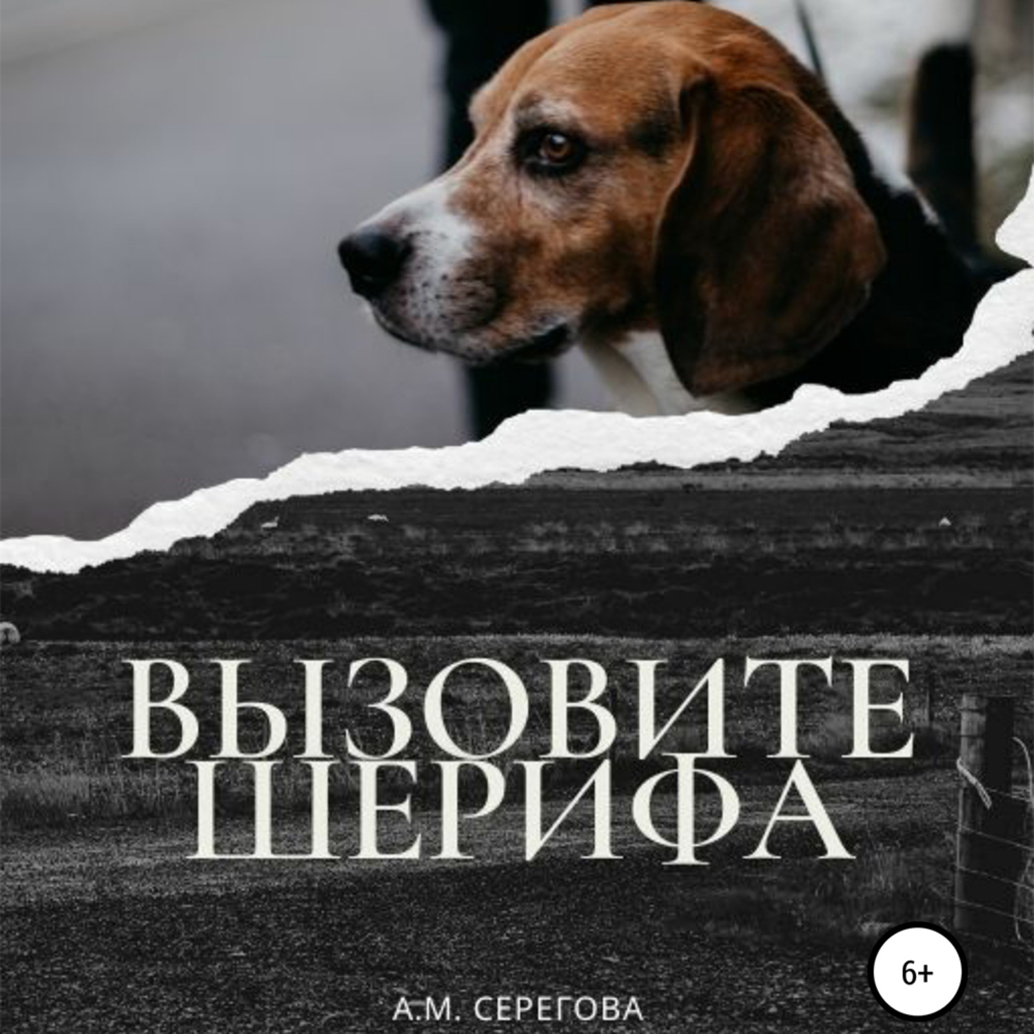 Обложка книги «Вызовите шерифа»