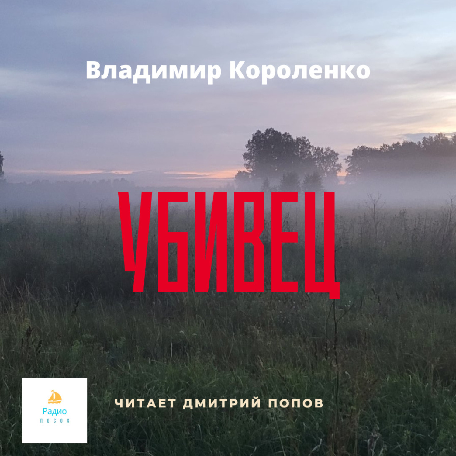 Обложка книги «Убивец»