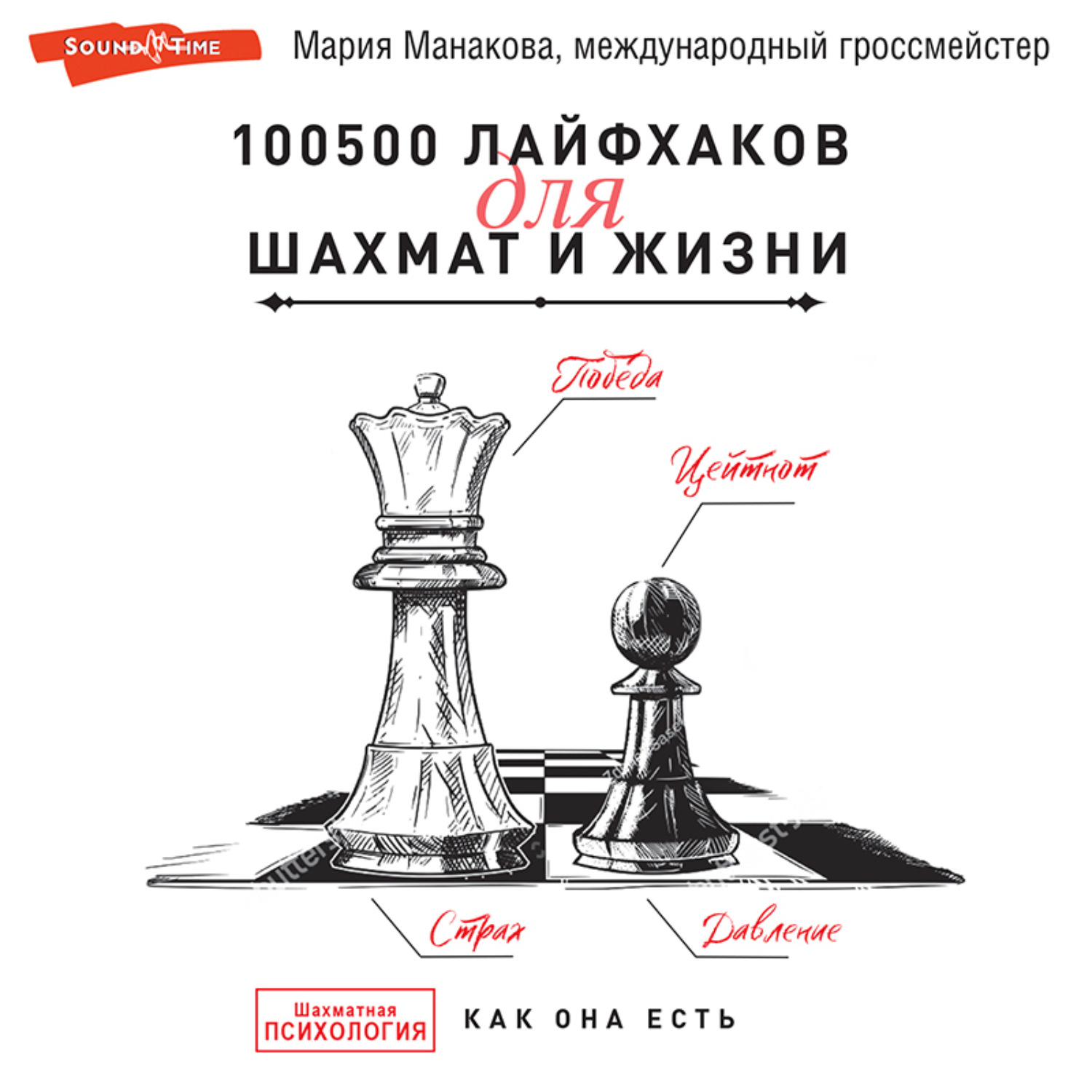 Обложка книги «100500 лайфхаков для шахмат и жизни»