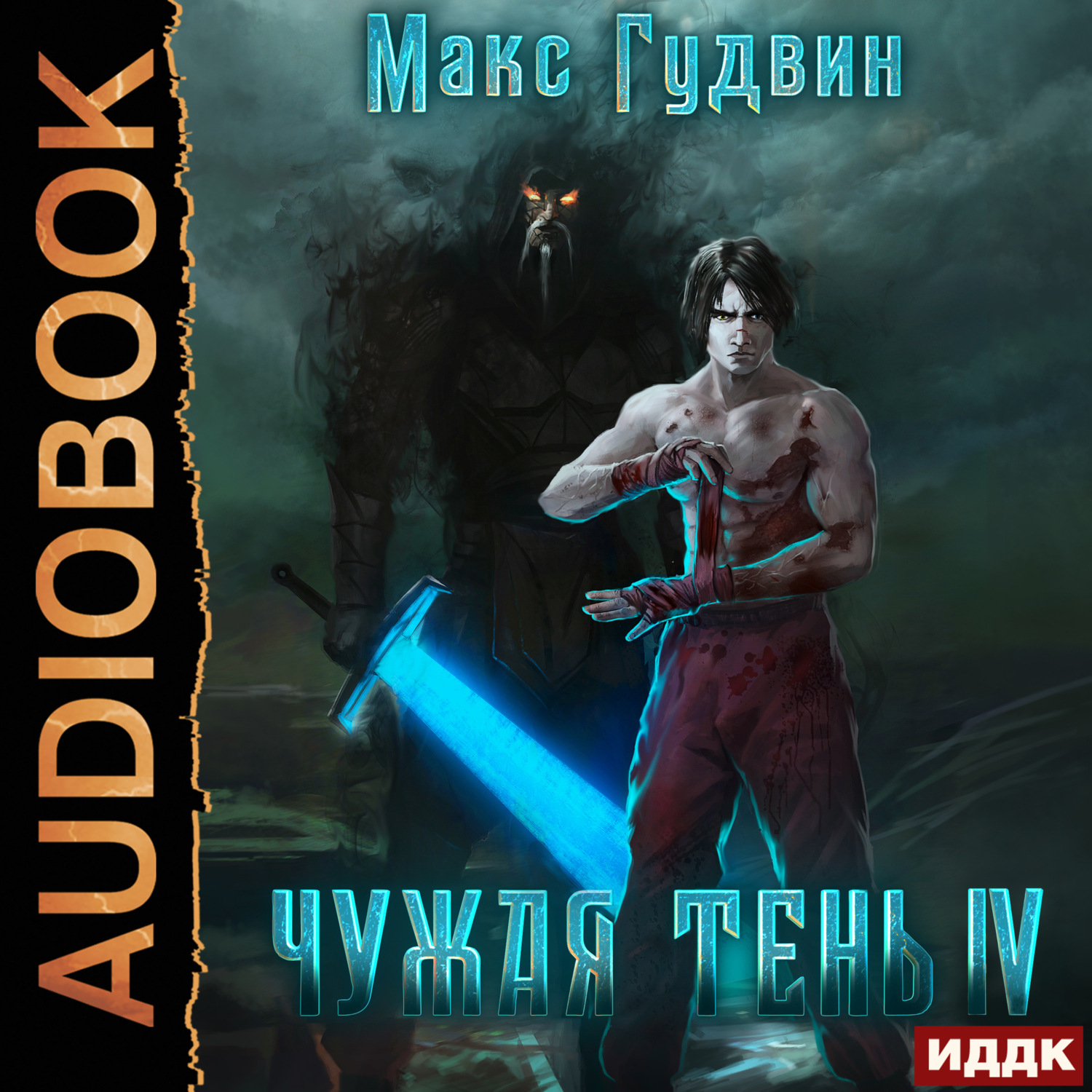 Обложка книги «Чужая тень. Книга 4»