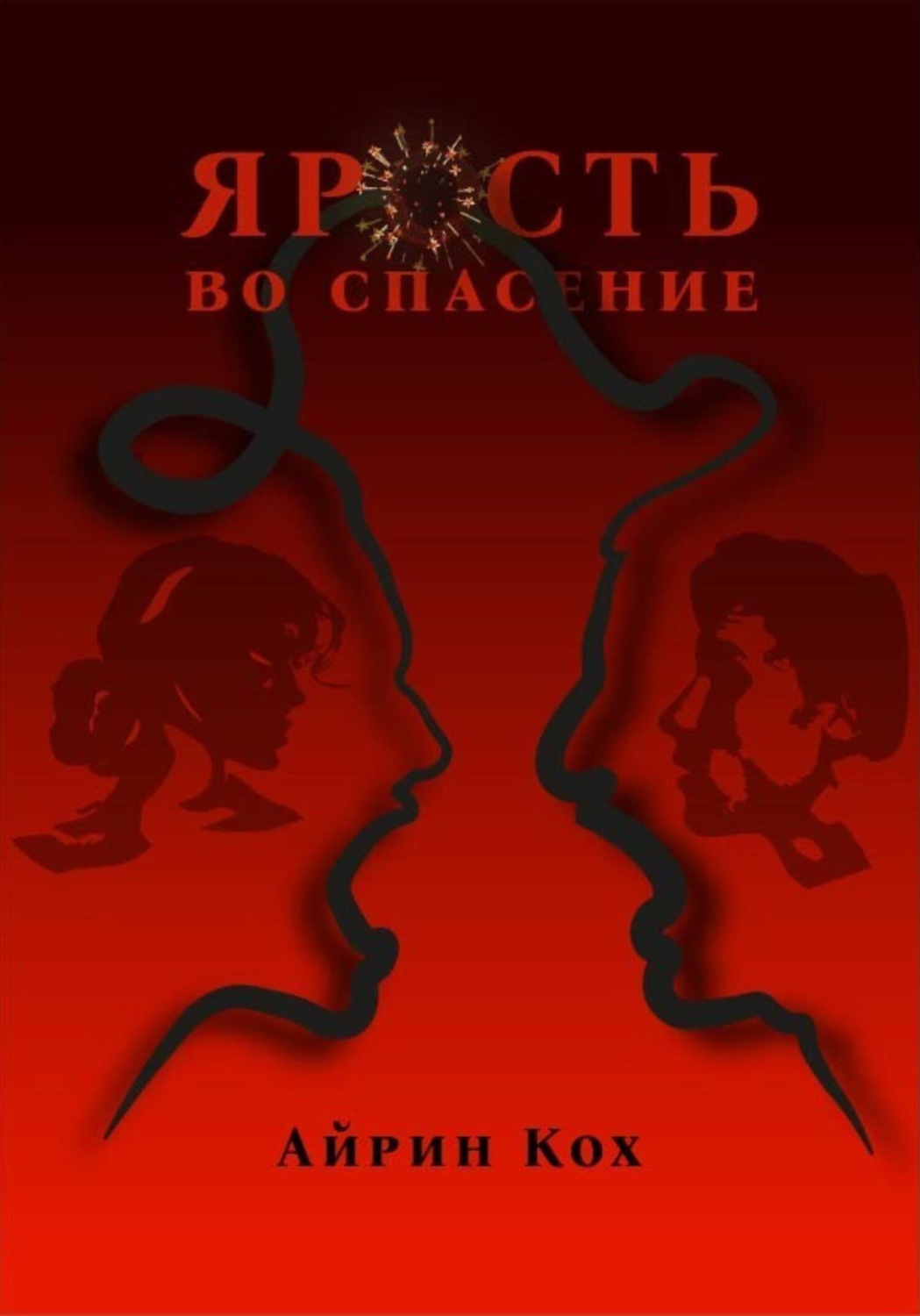 Обложка книги «Ярость во спасение»