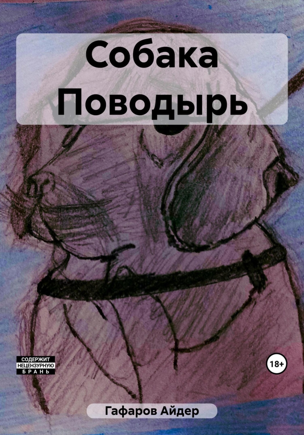 Обложка книги «Собака Поводырь»