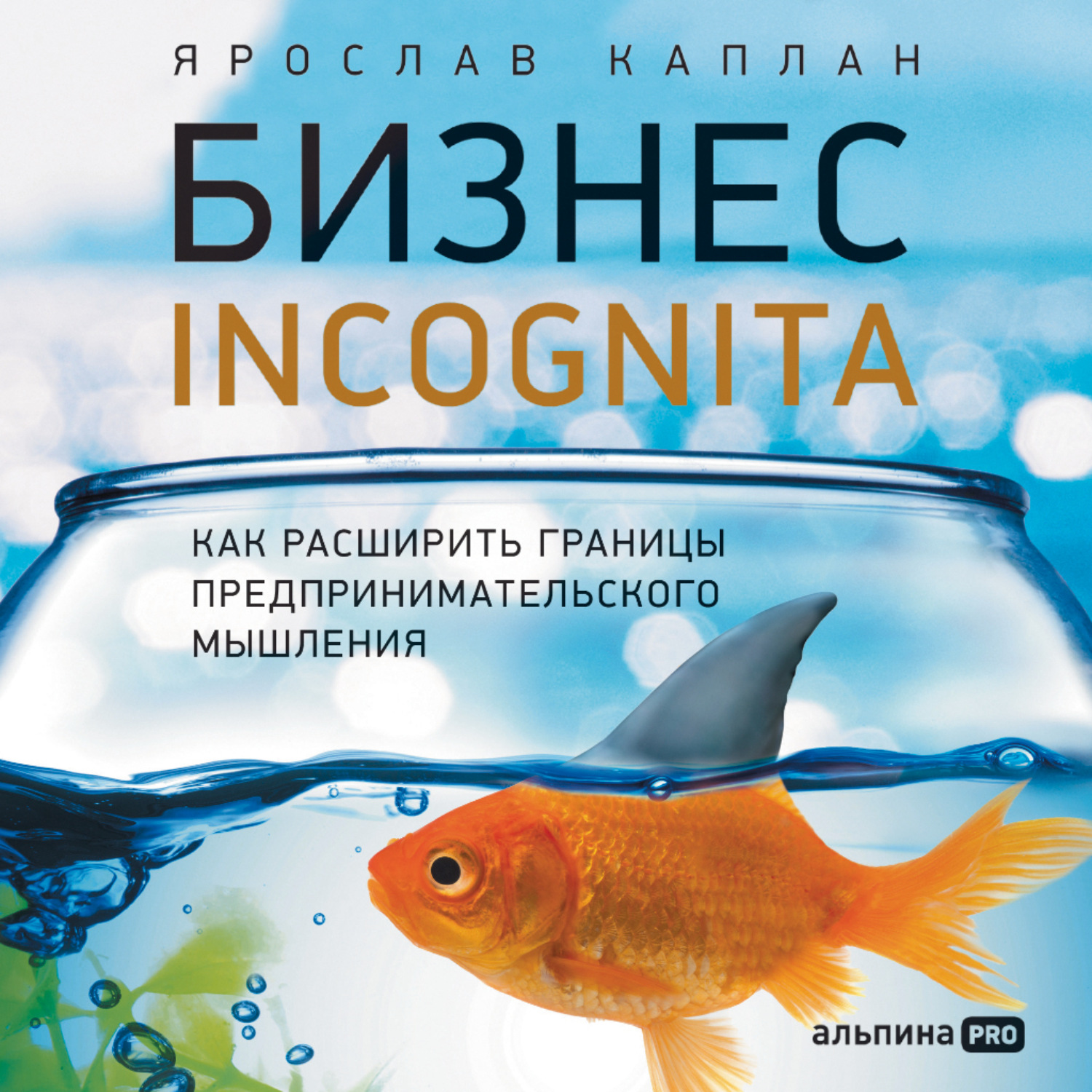 Обложка книги «Бизнес incognita: Как расширить границы предпринимательского мышления»