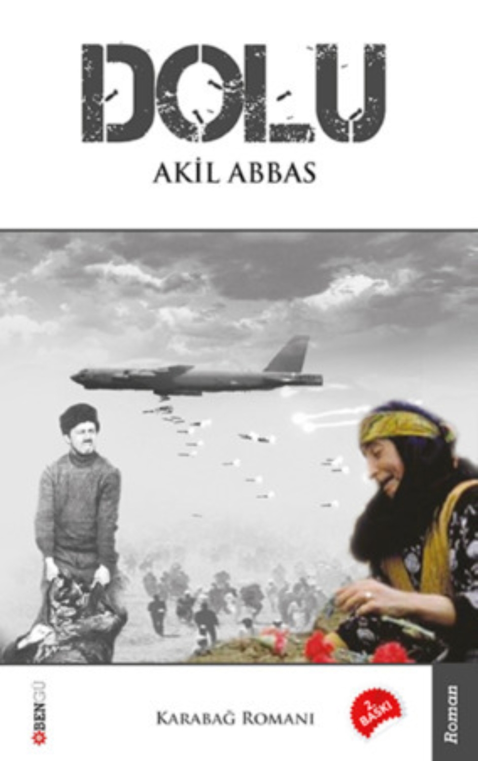Обложка книги «Dolu»