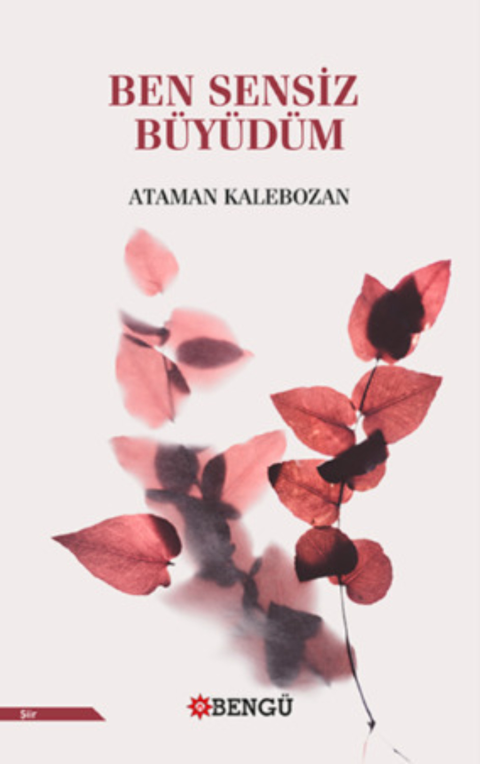 Обложка книги «Ben Sensiz Büyüdüm»