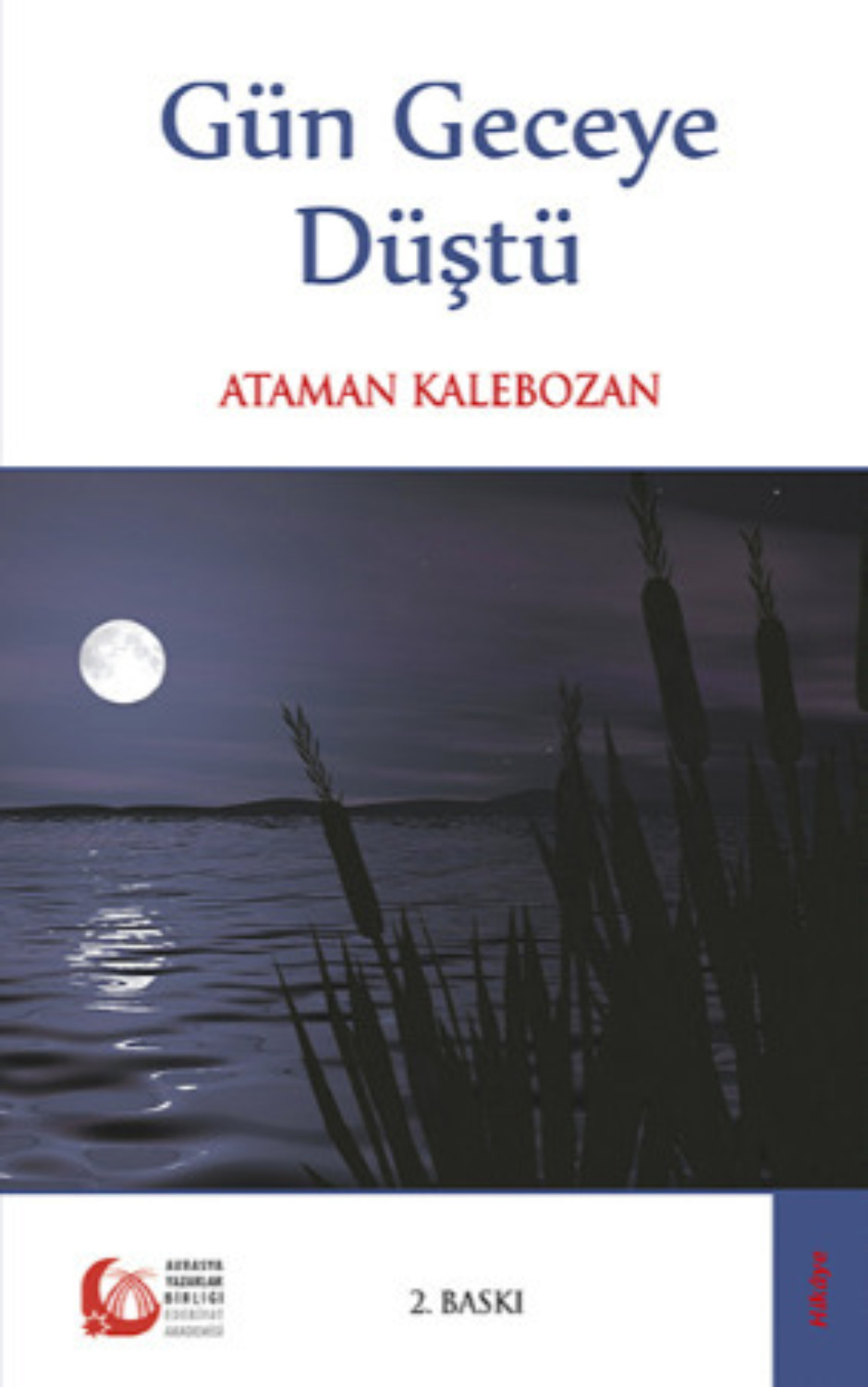 Обложка книги «Gün Geceye Düştü»