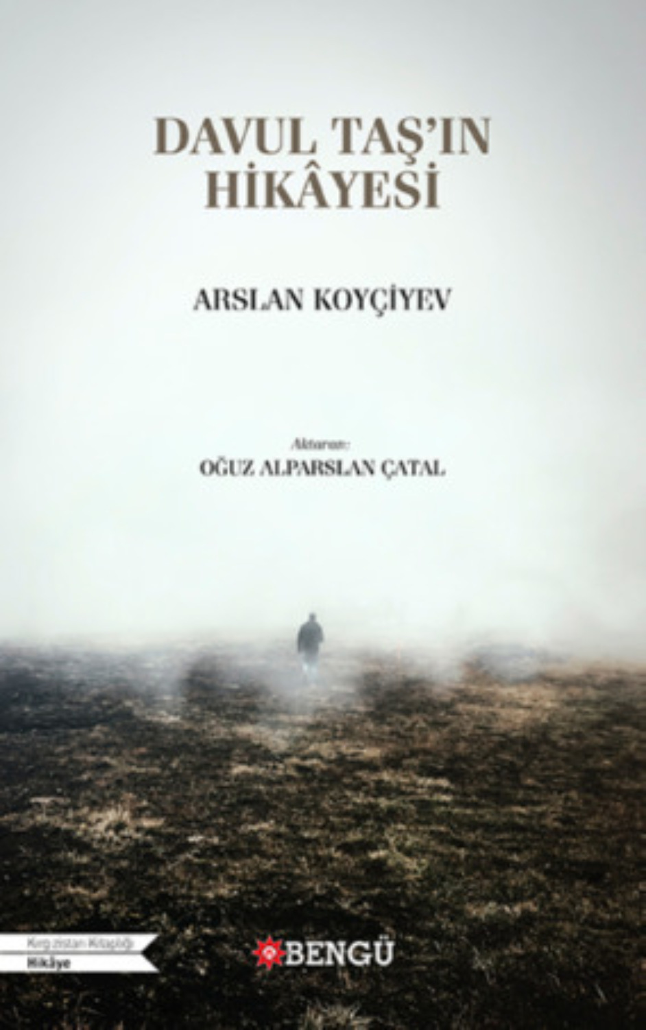 Обложка книги «Davul Taşın Hikâyesi»