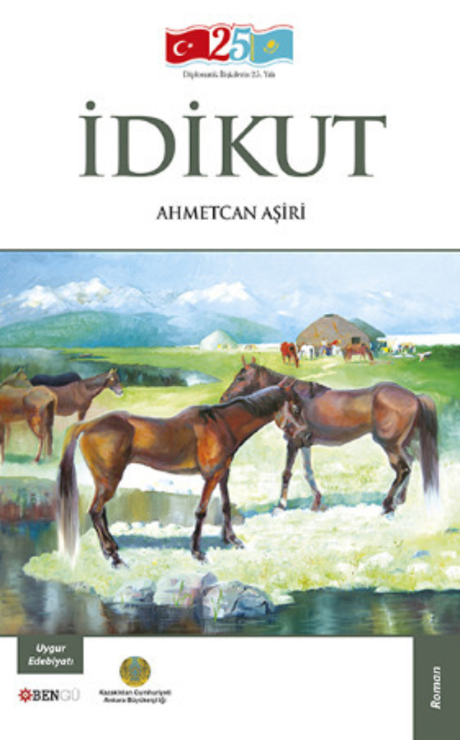 Обложка книги «İdikut Roman»