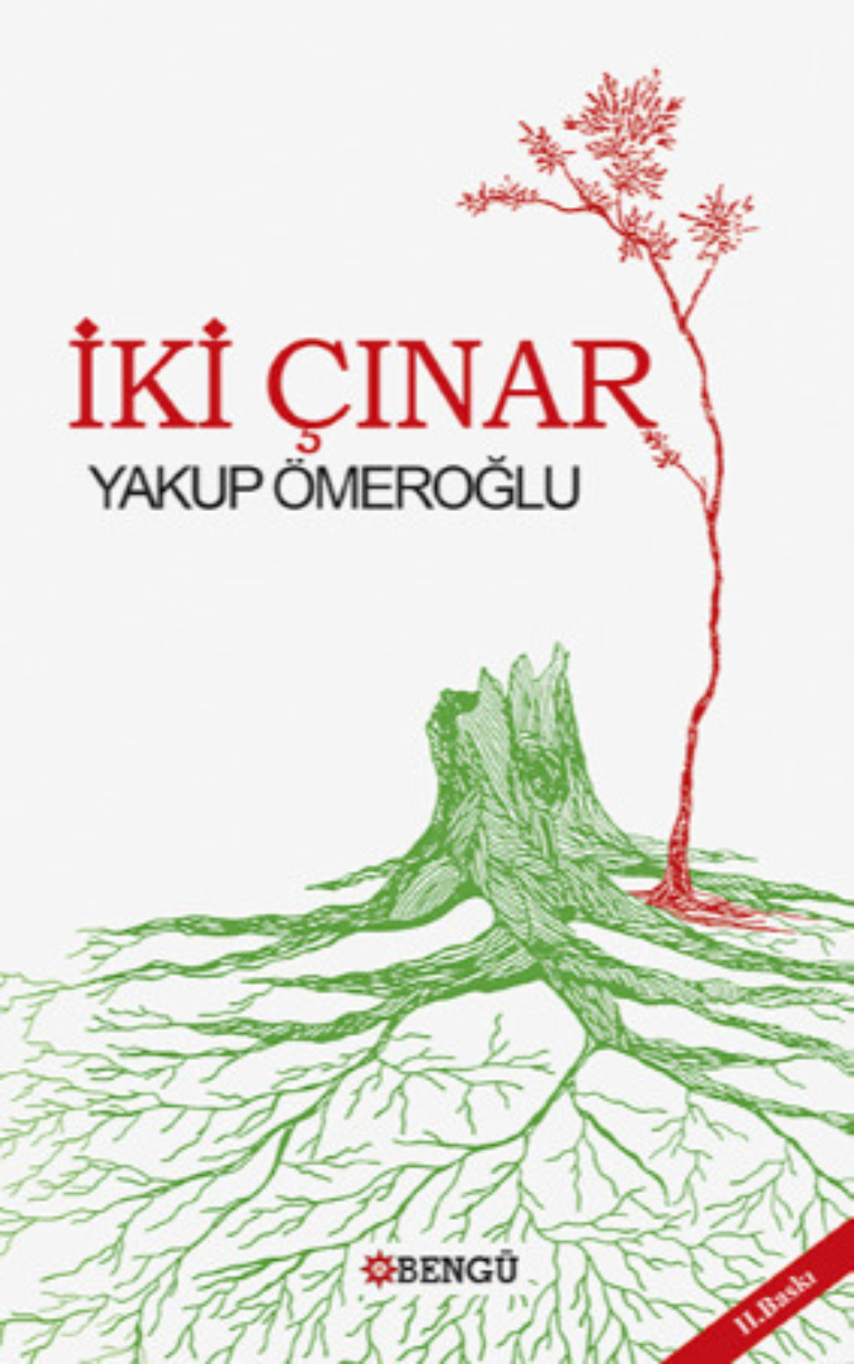 Обложка книги «İki Çınar»