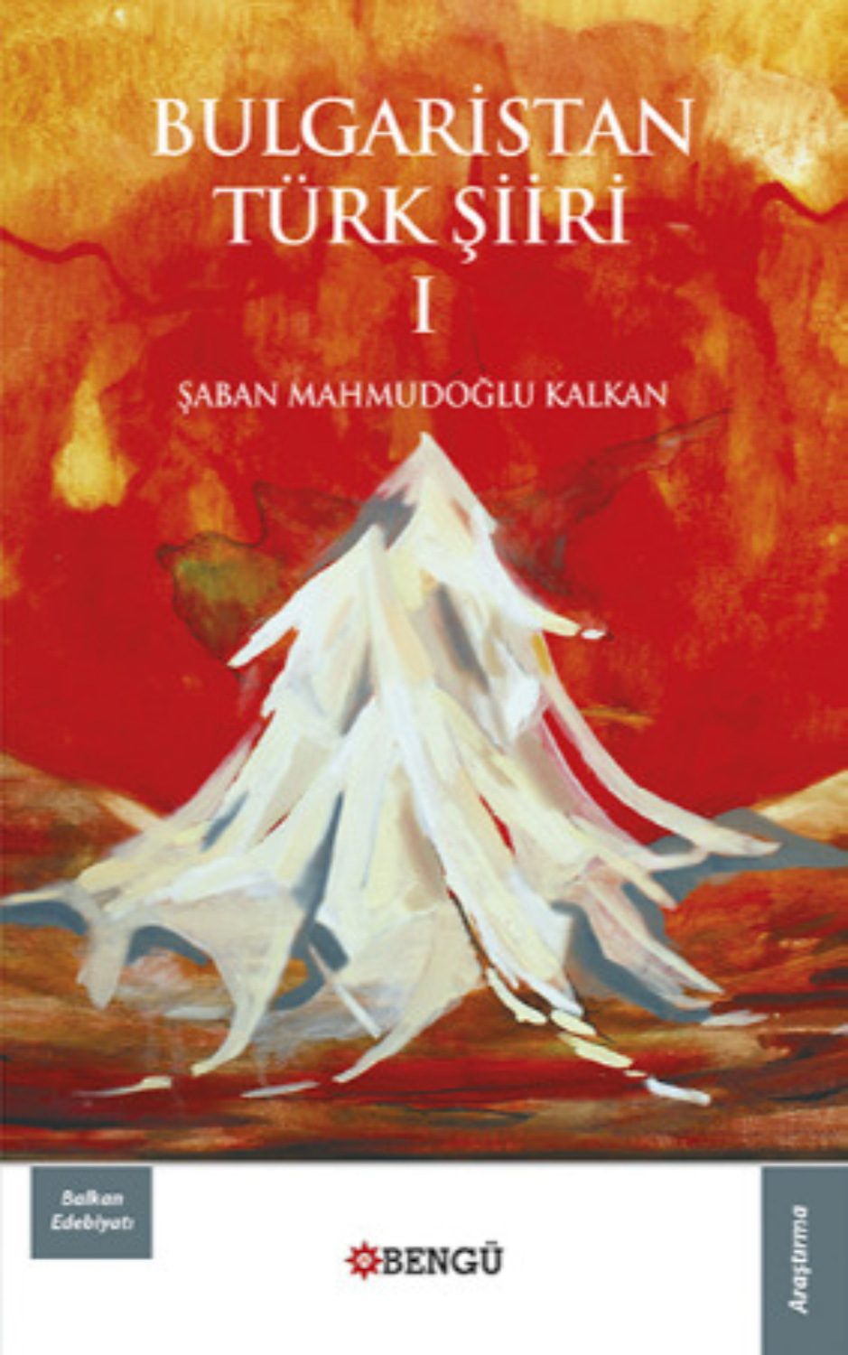 Обложка книги «Bulgaristan Türk Şiiri Cilt 1»