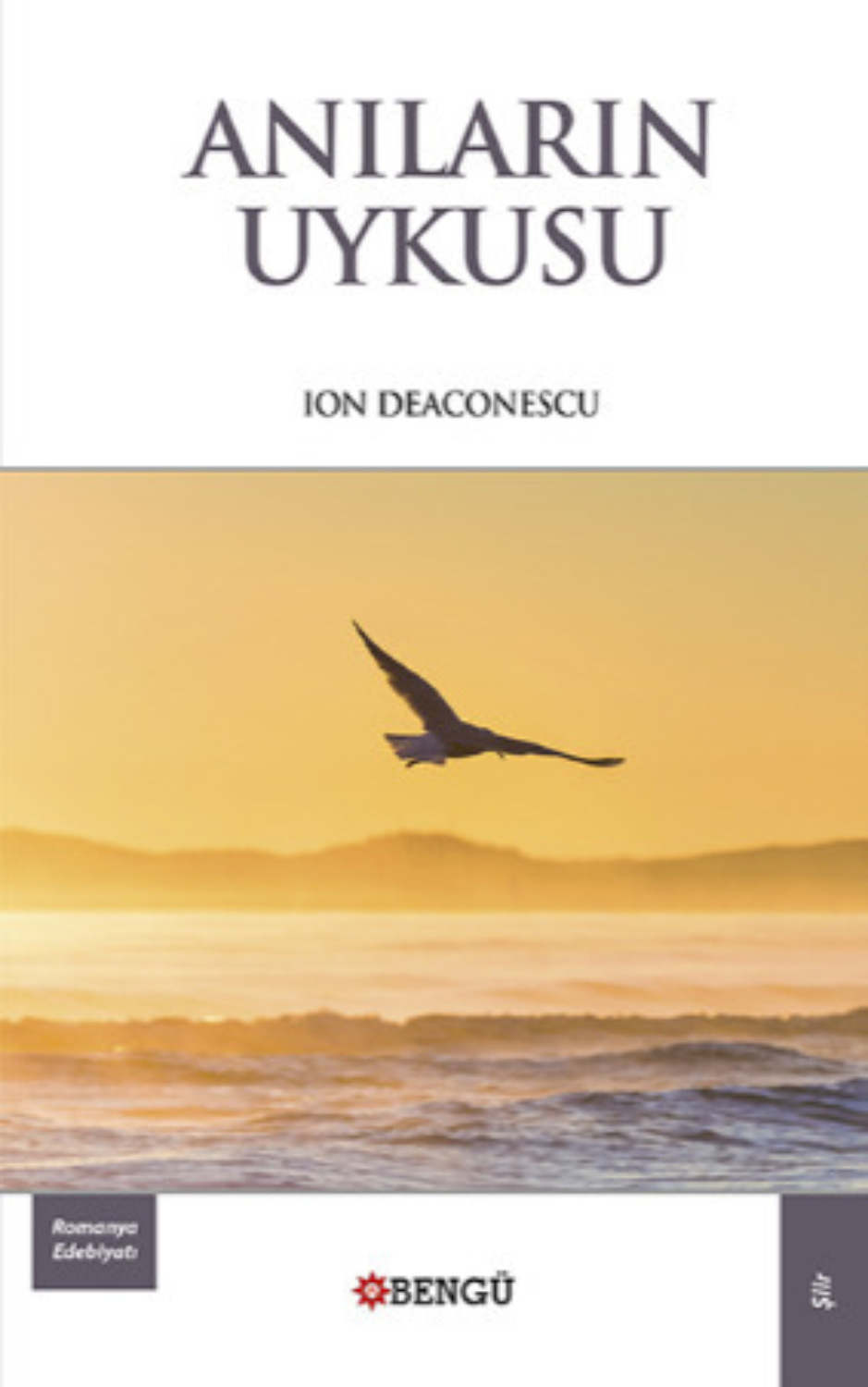 Обложка книги «Anıların Uykusu»