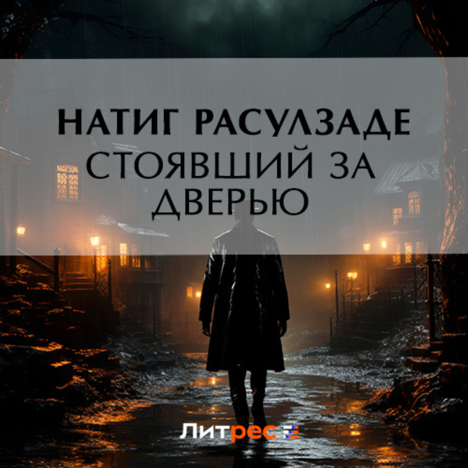 Обложка книги «Стоявший за дверью»