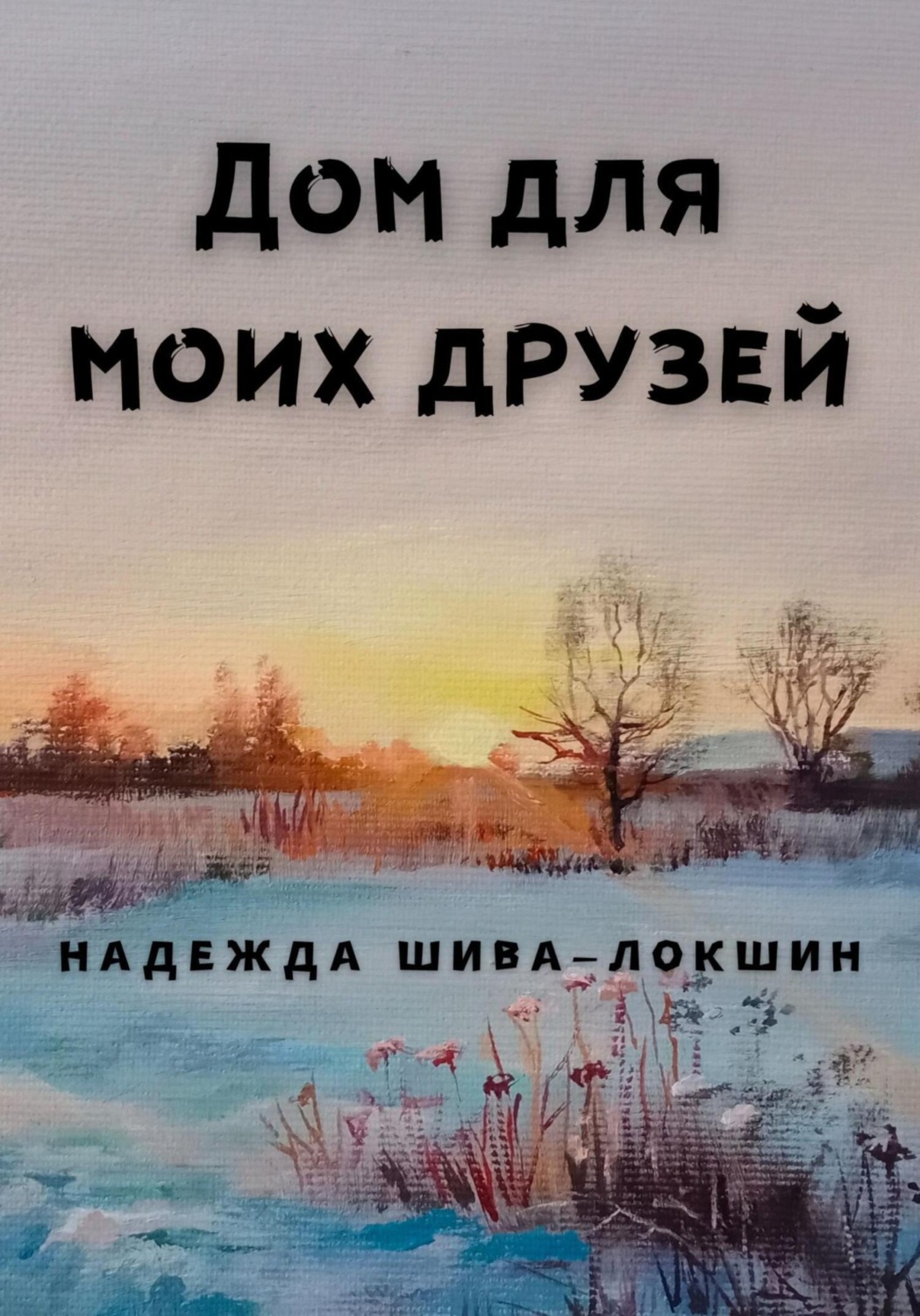 Обложка книги «Дом для моих друзей»