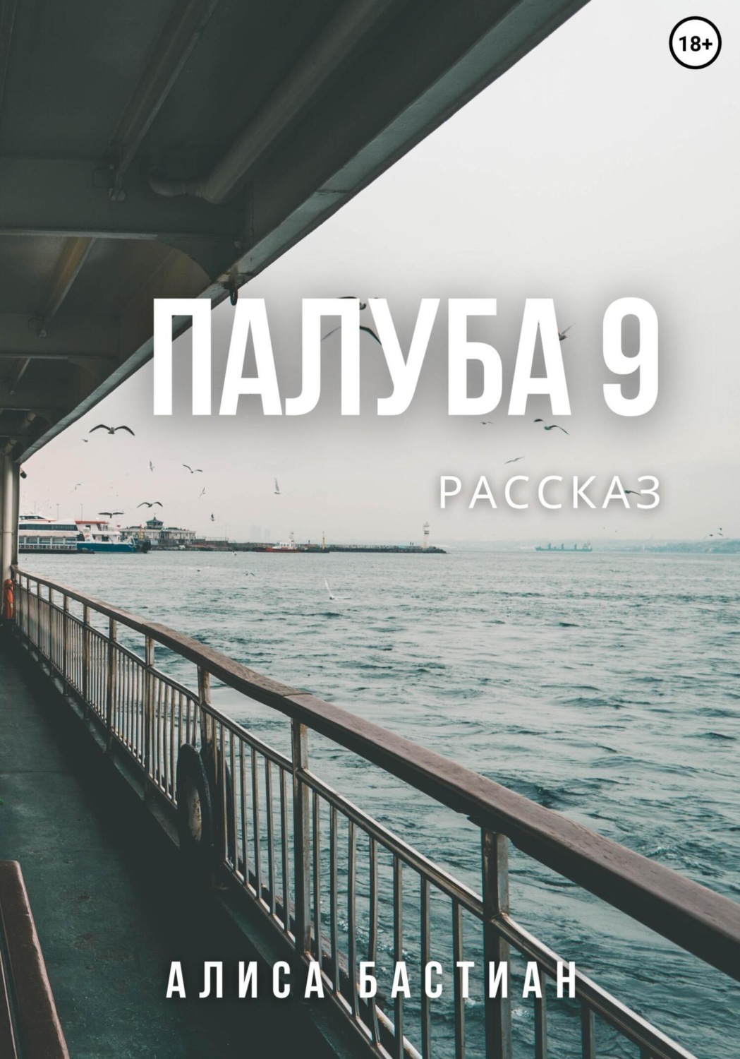 Обложка книги «Палуба 9»