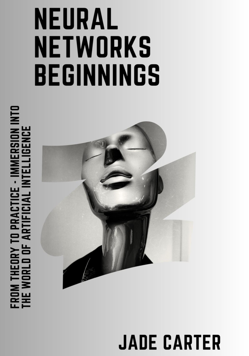 Обложка книги «Neural Networks Beginnings»