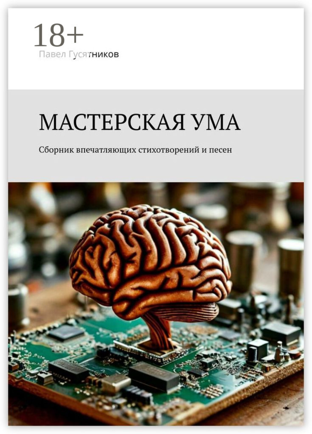 Обложка книги «Мастерская ума. Сборник впечатляющих стихотворений и песен»