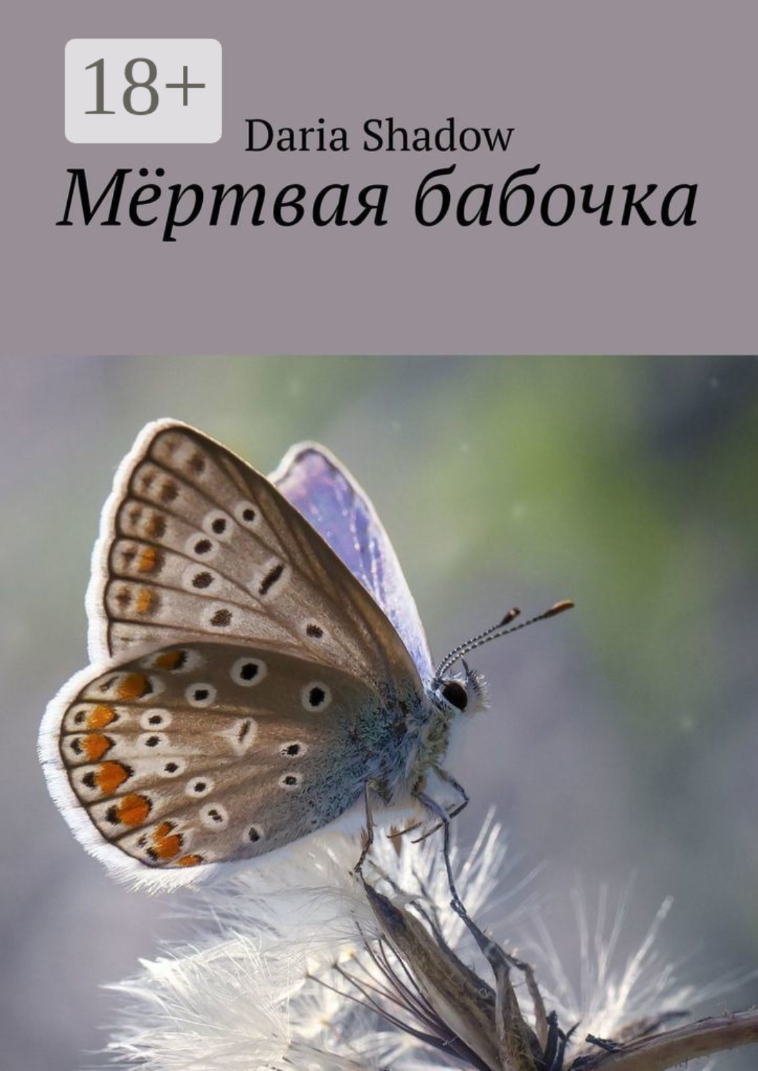 Обложка книги «Мёртвая бабочка»