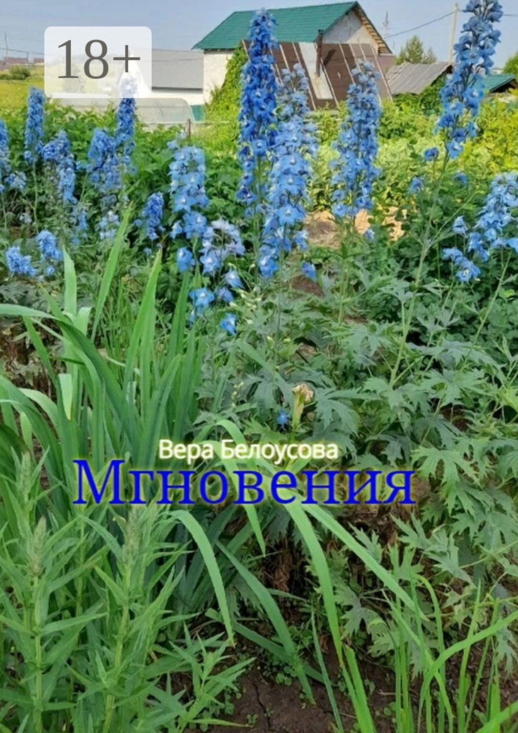 Обложка книги «Мгновения»