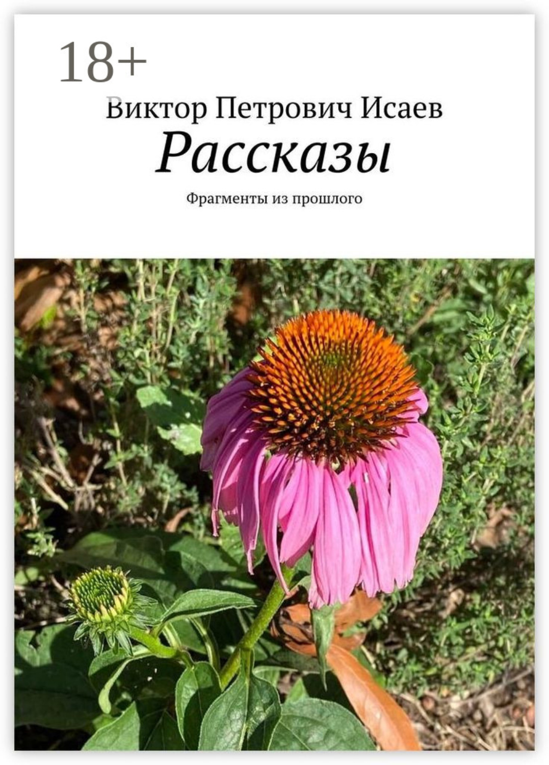 Обложка книги «Рассказы. Фрагменты из прошлого»