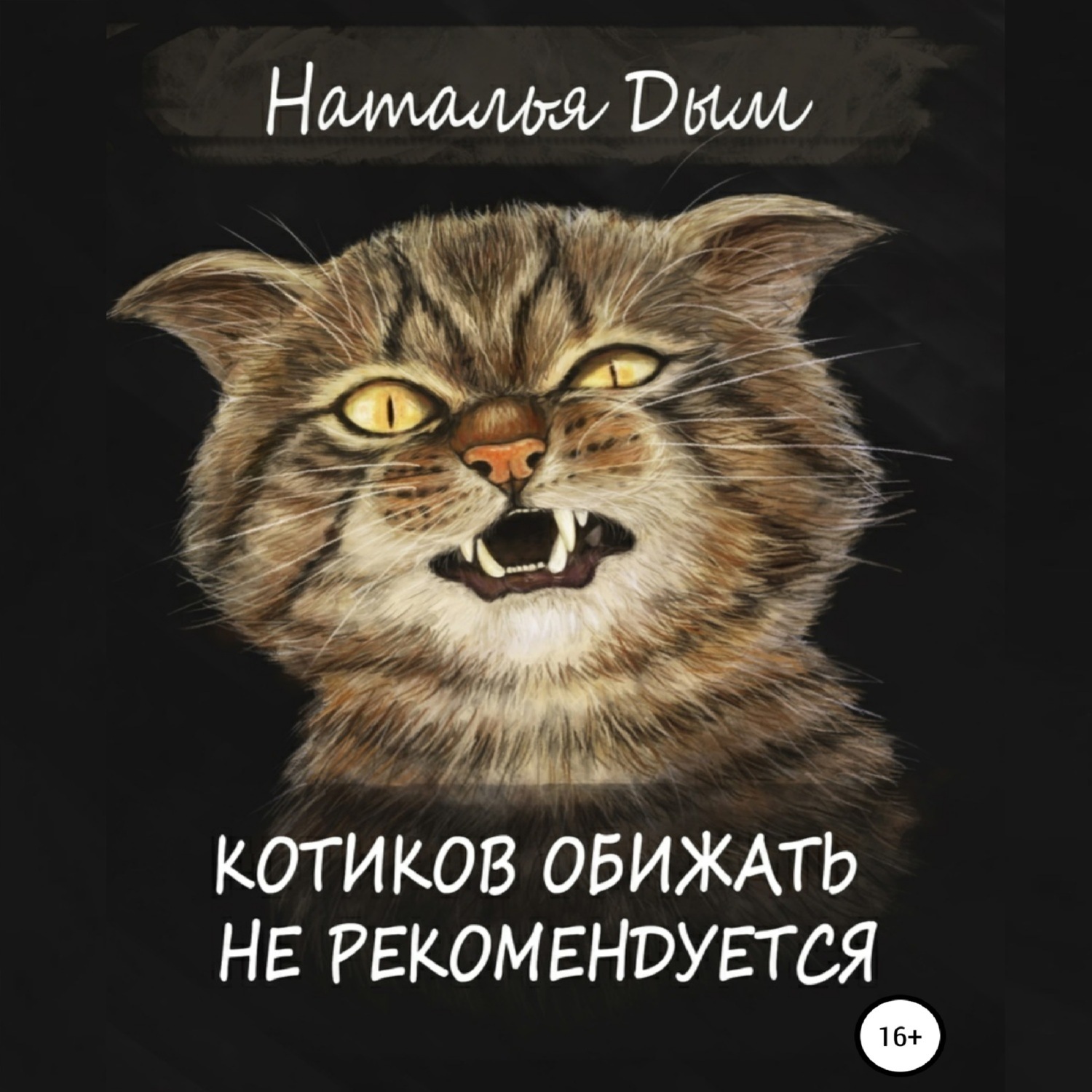 Обложка книги «Котиков обижать не рекомендуется»