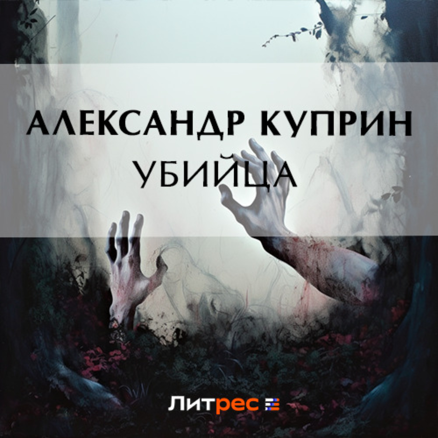 Обложка книги «Убийца»