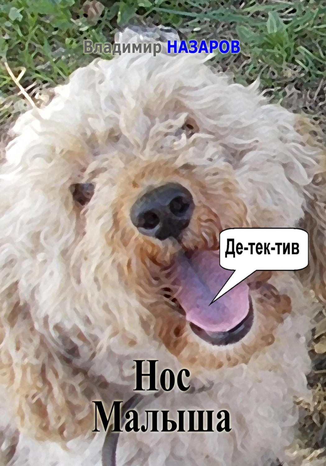 Обложка книги «Нос Малыша»