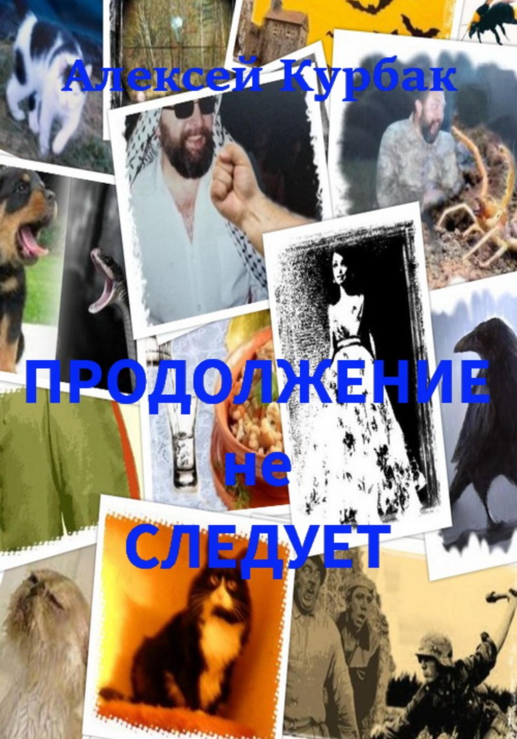 Обложка книги «Продолжение не следует»