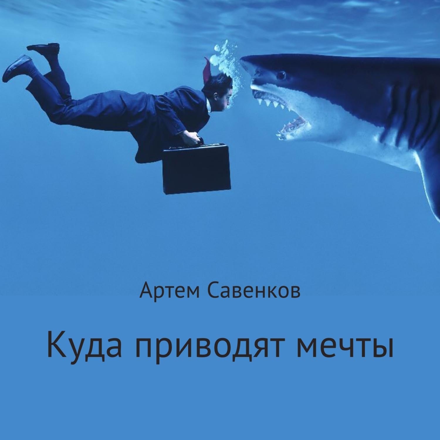 Обложка книги «Куда приводят мечты»