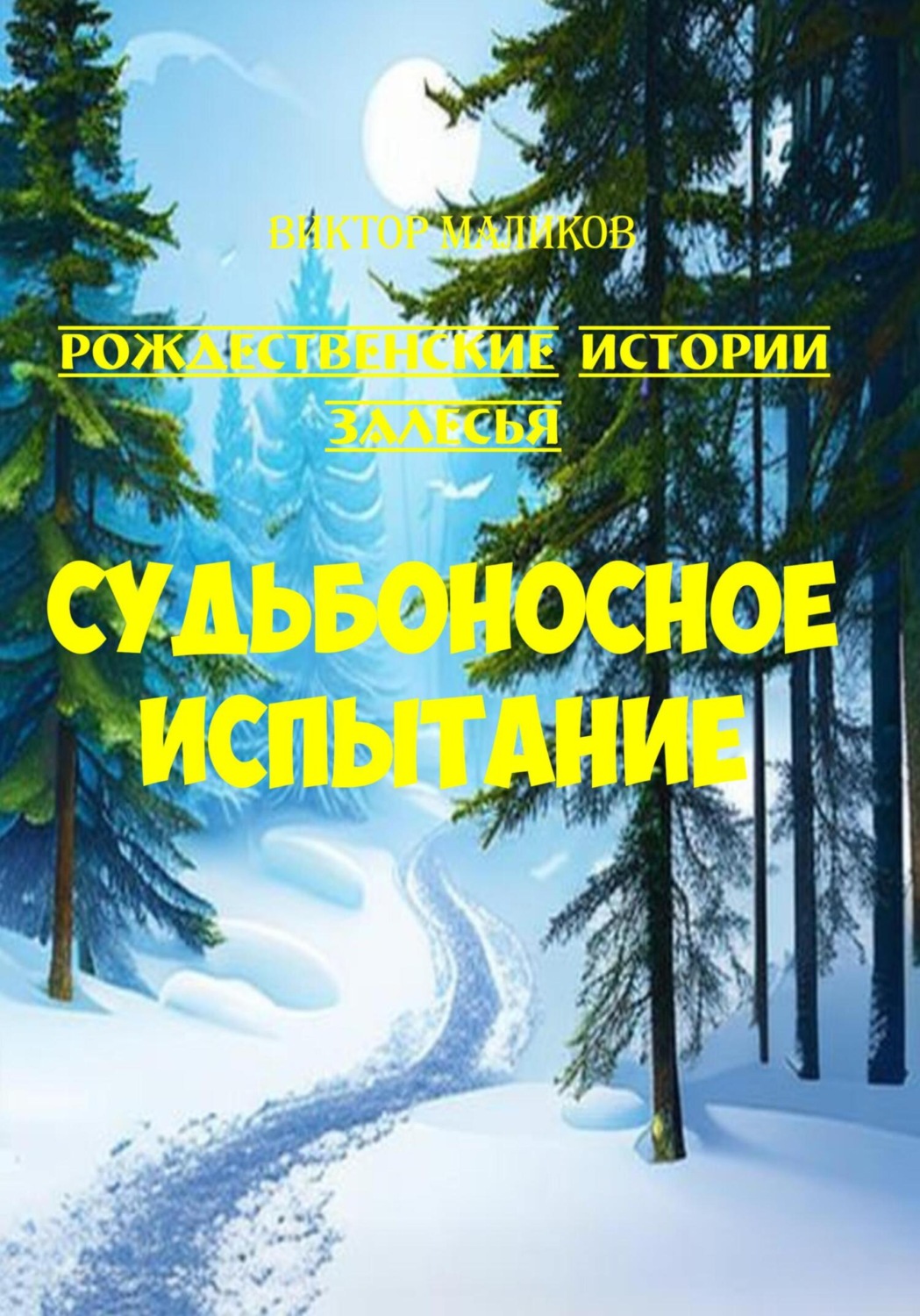Обложка книги «Судьбоносное испытание»
