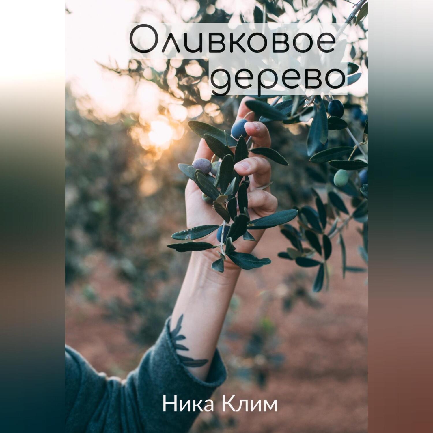 Обложка книги «Оливковое дерево»