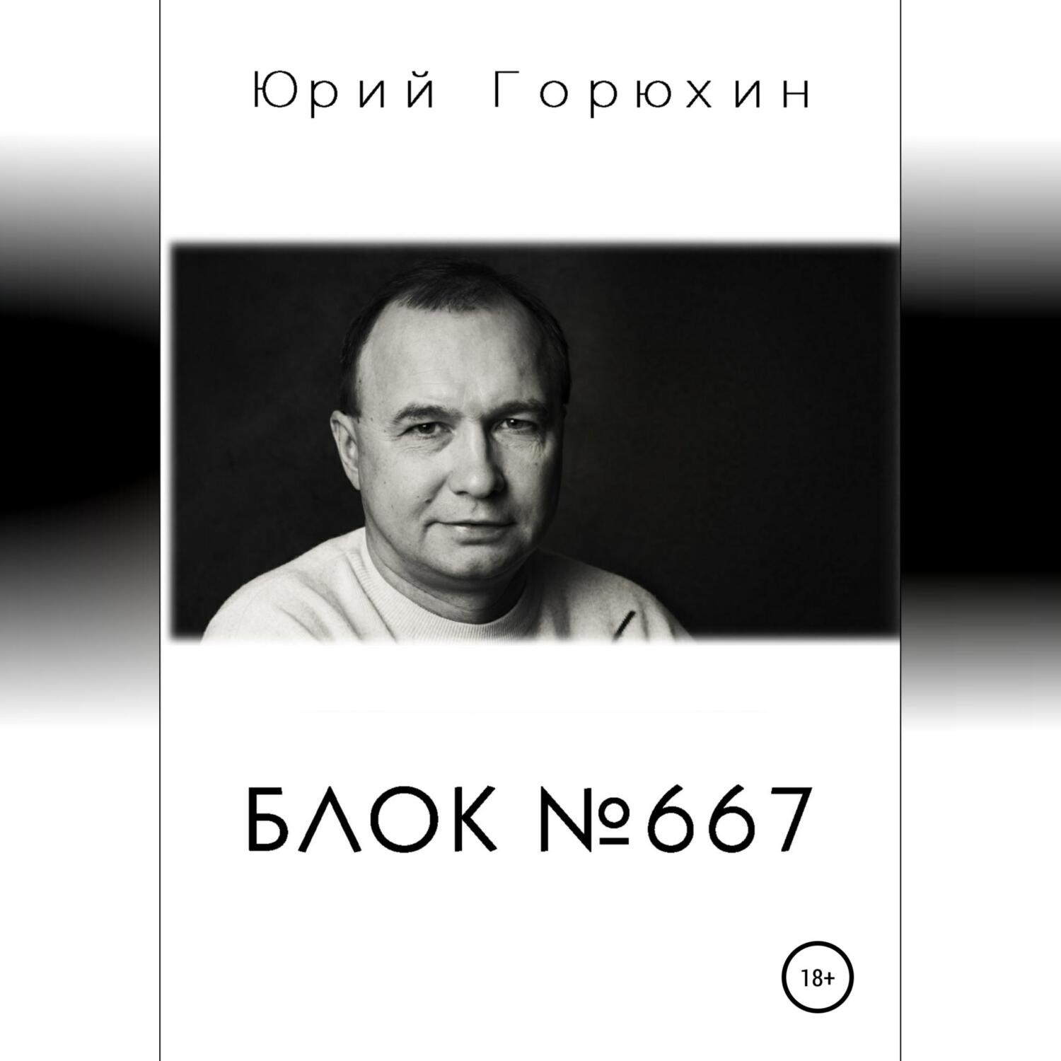 Обложка книги «Блок №667»