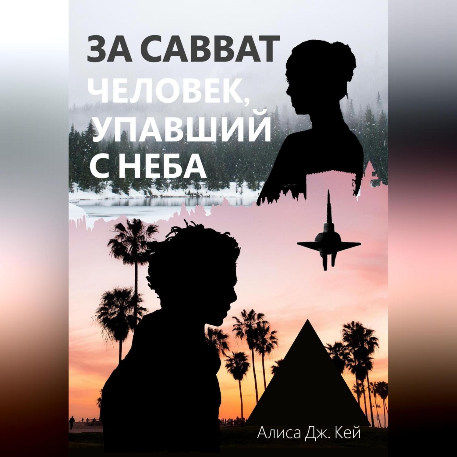 Обложка книги «За Савват. Человек, упавший с неба»