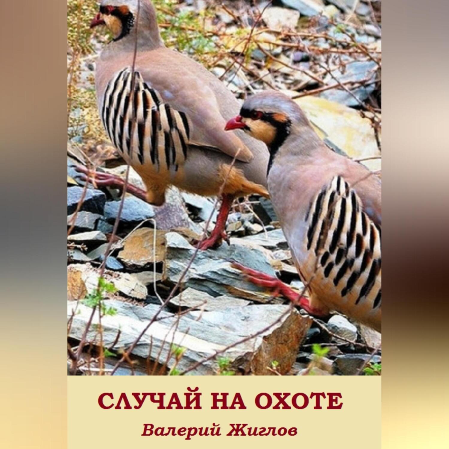 Обложка книги «Случай на охоте»