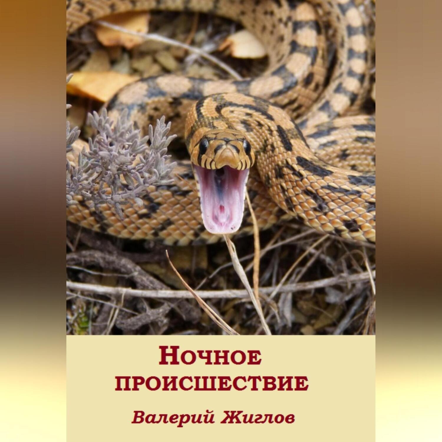 Обложка книги «Ночное происшествие»