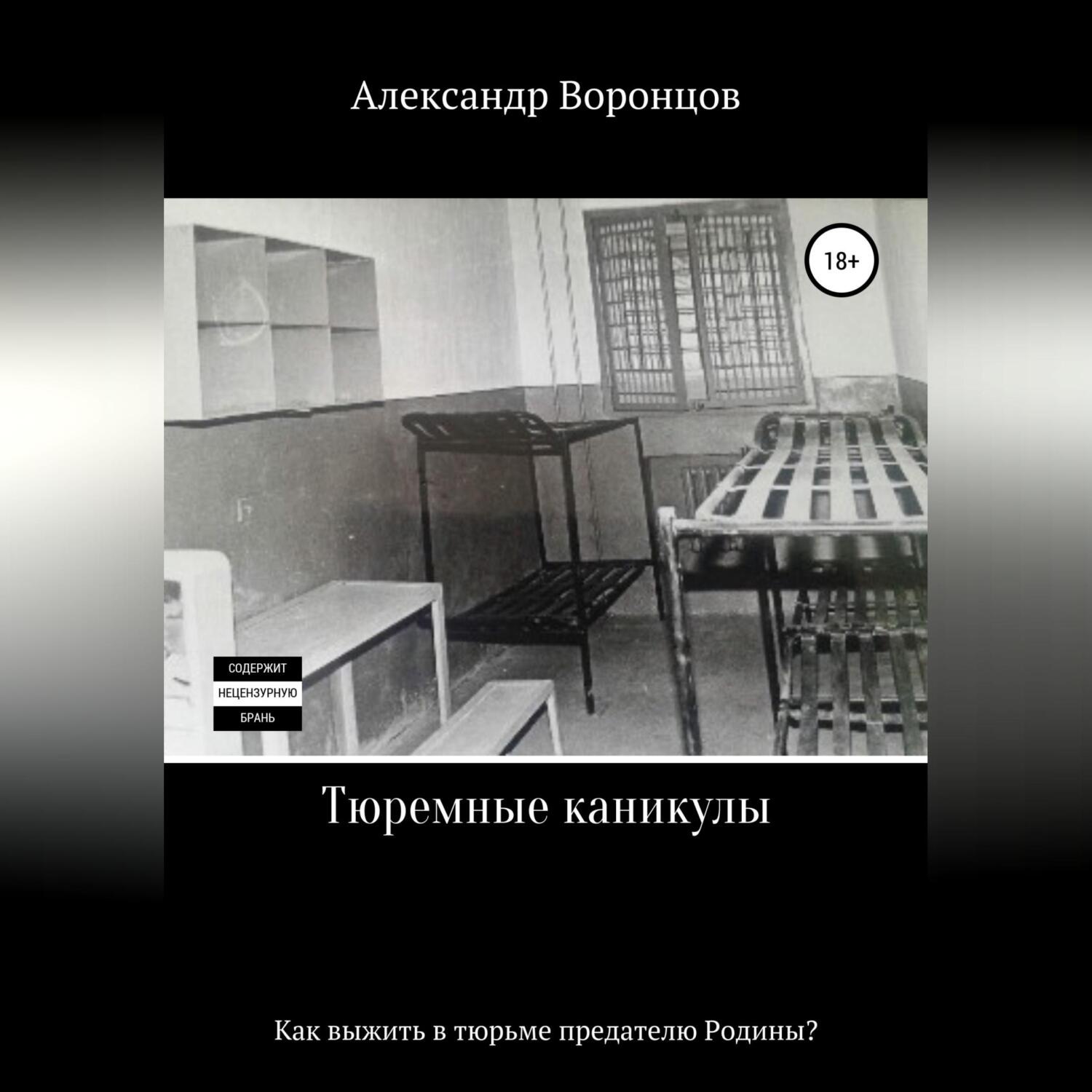 Обложка книги «Тюремные каникулы»