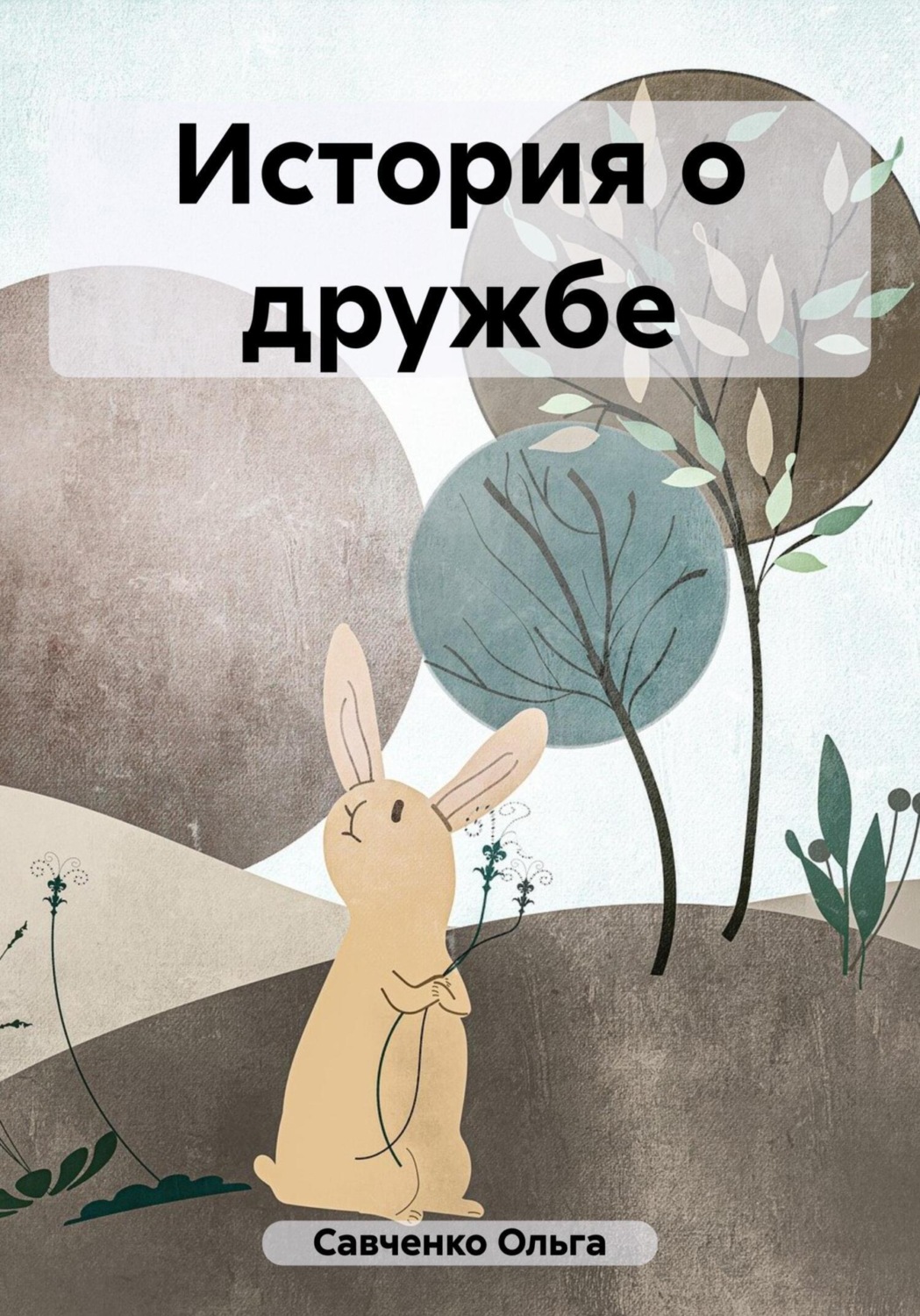 Обложка книги «История о дружбе»