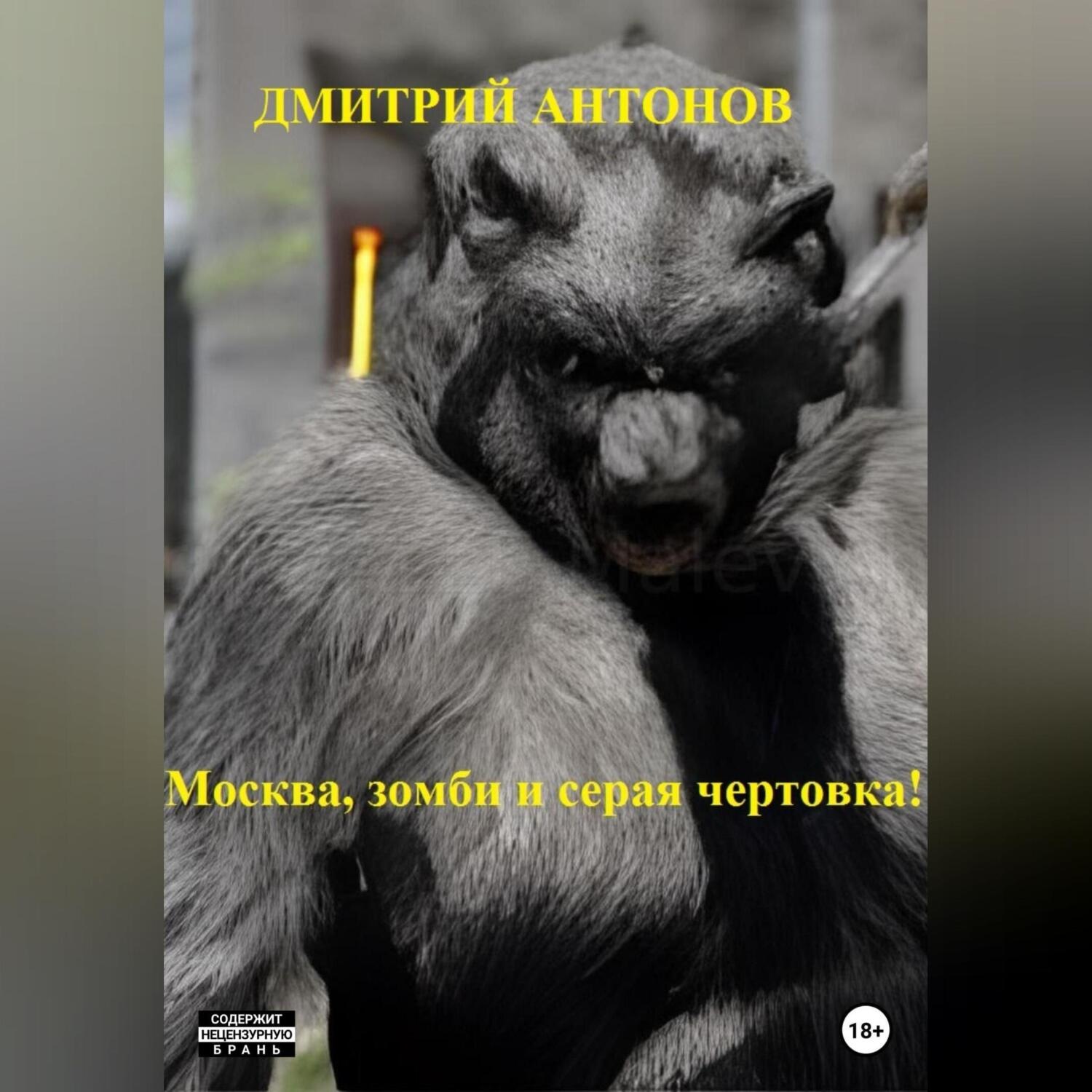 Обложка книги «Москва, зомби и серая чертовка!»