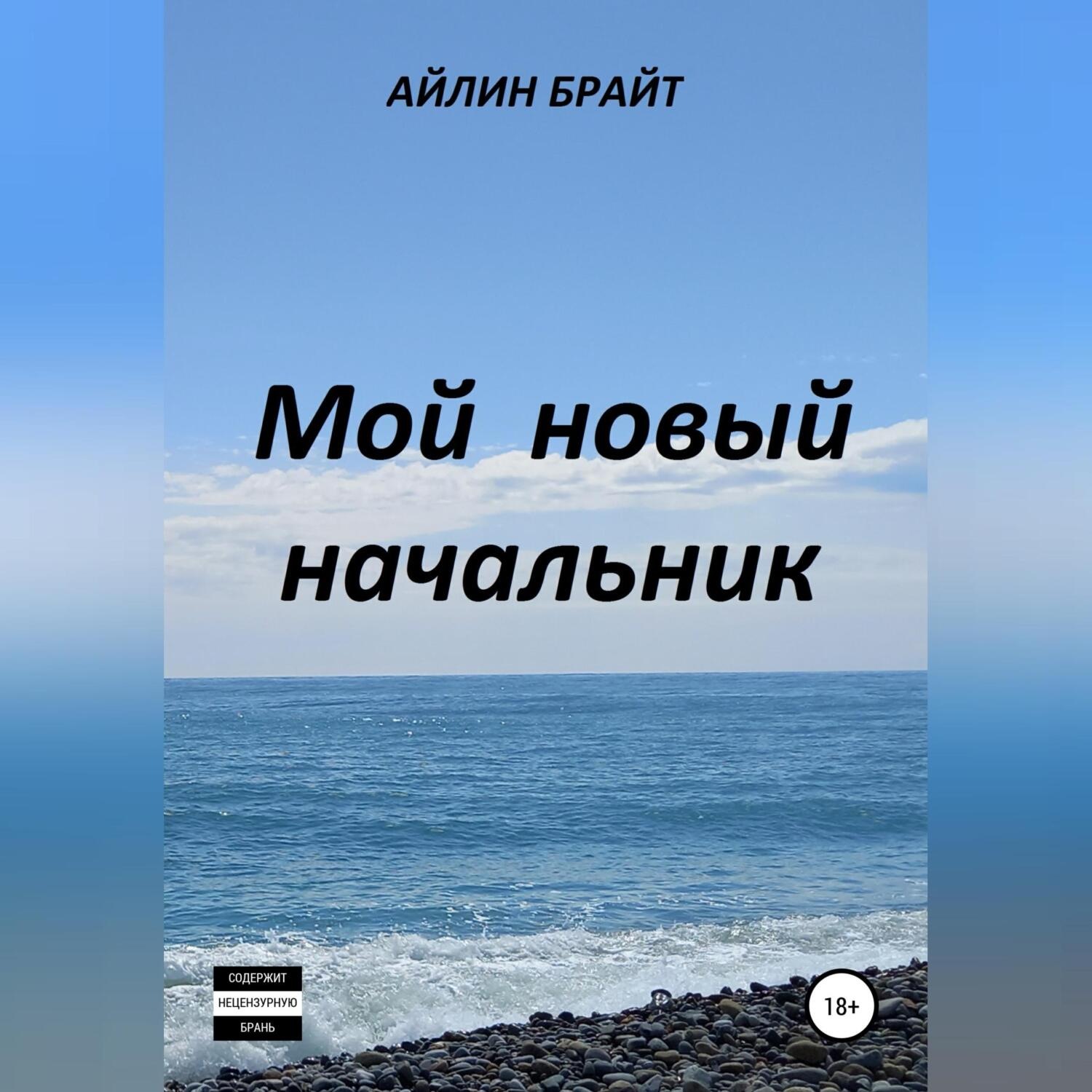 Обложка книги «Мой новый начальник»