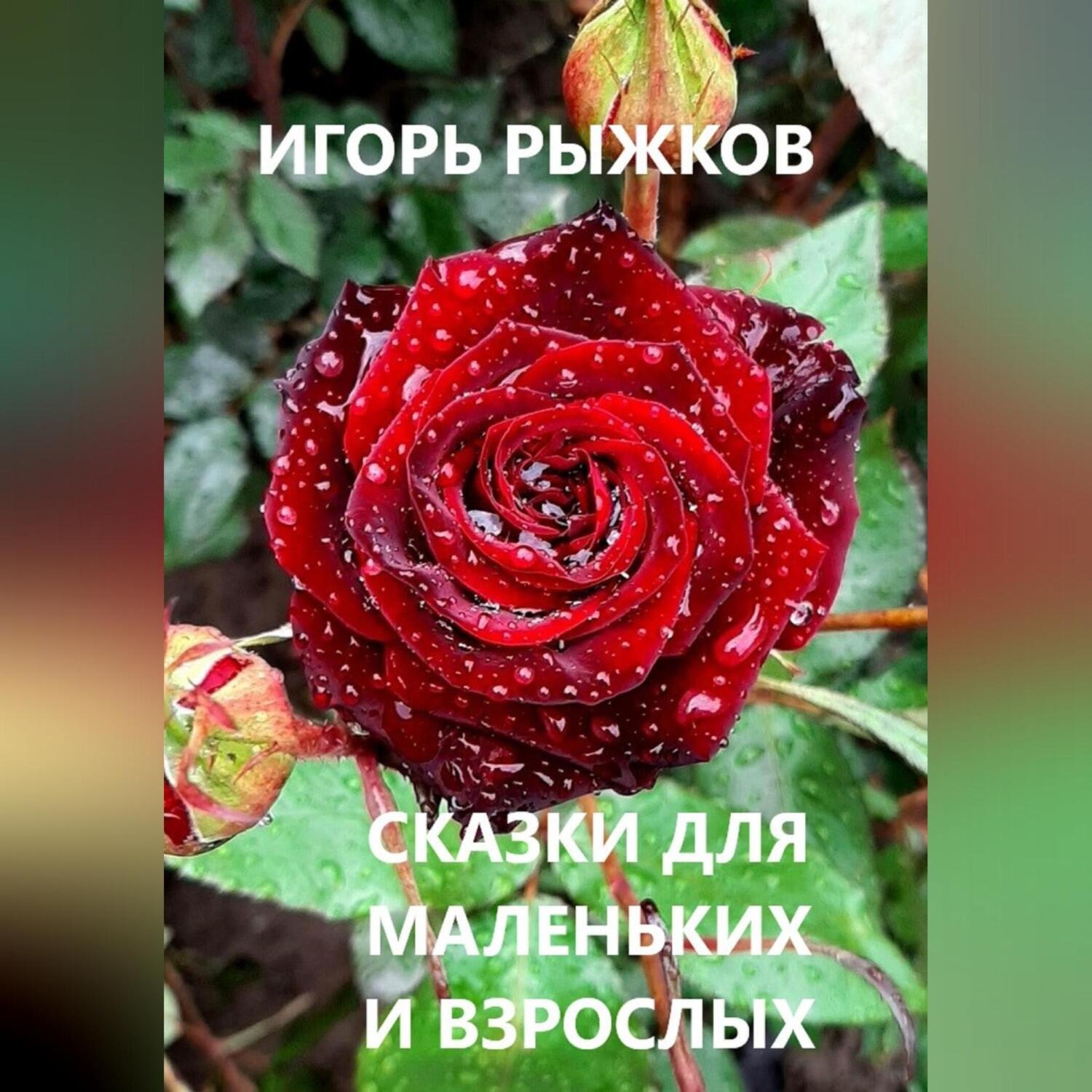 Обложка книги «Сказки для маленьких и взрослых»