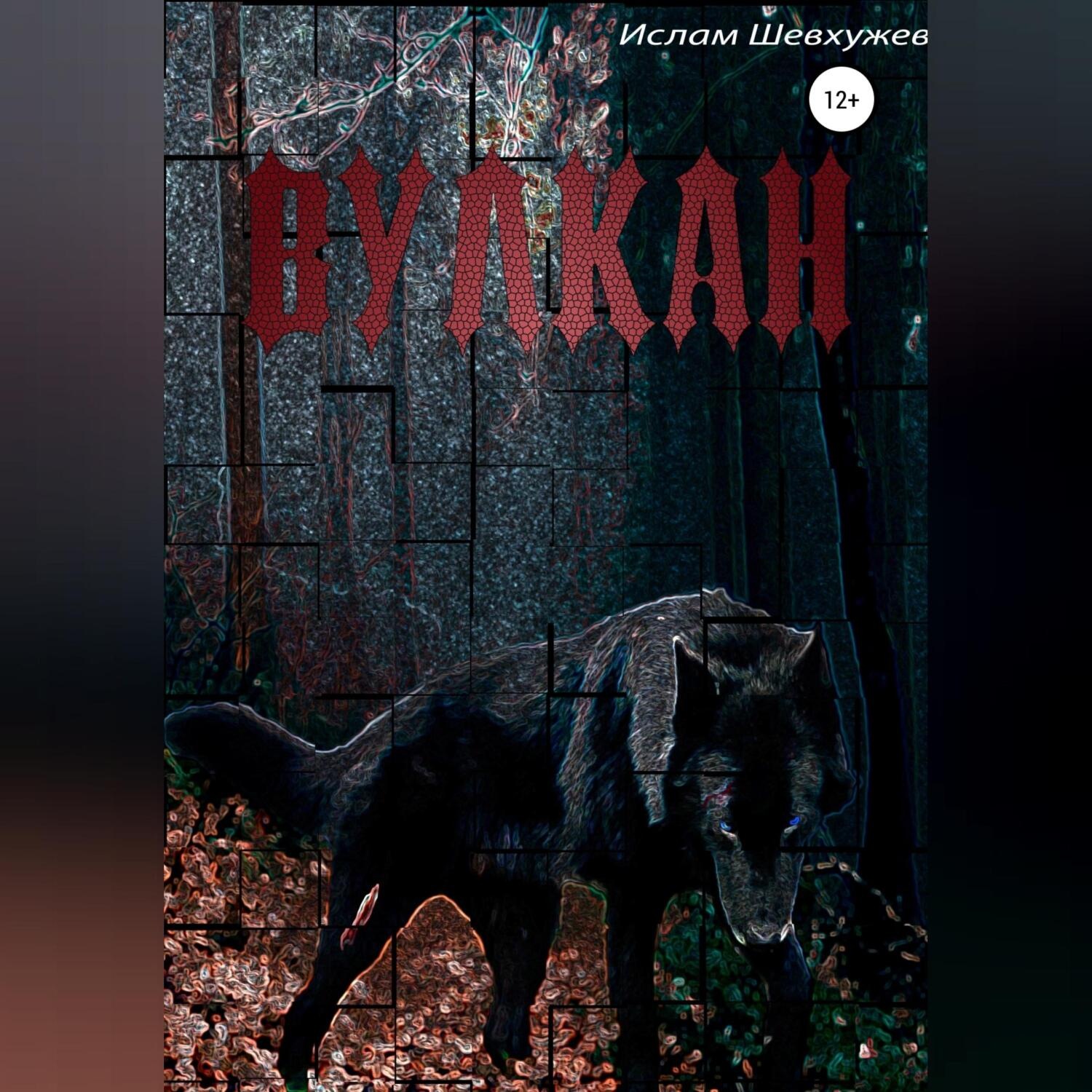 Обложка книги «Вулкан»