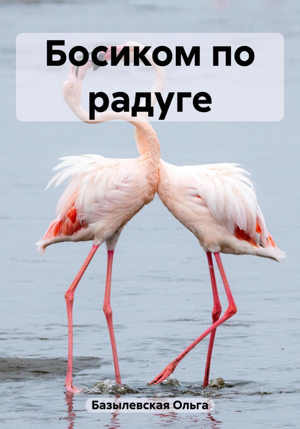 Обложка книги «Босиком по радуге»