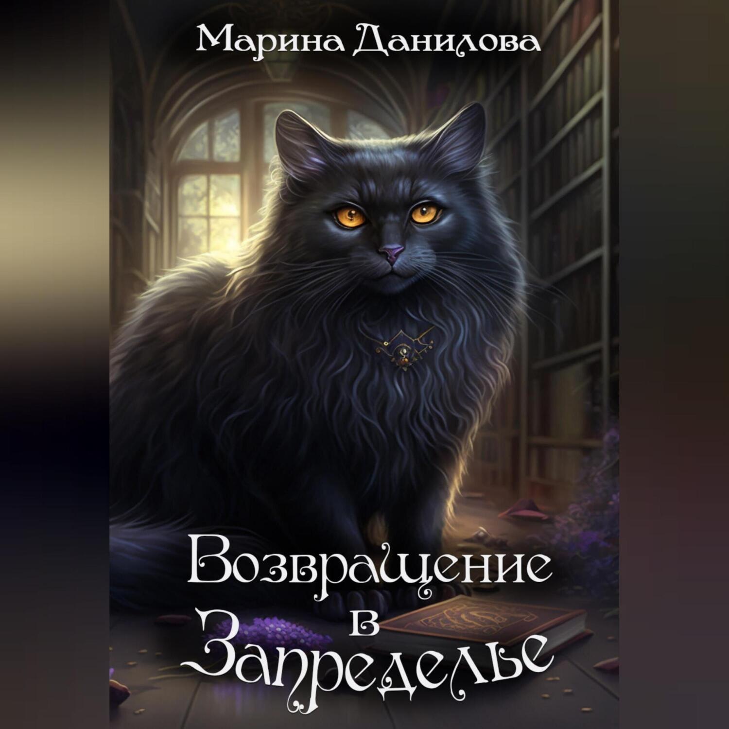 Обложка книги «Возвращение в Запределье»
