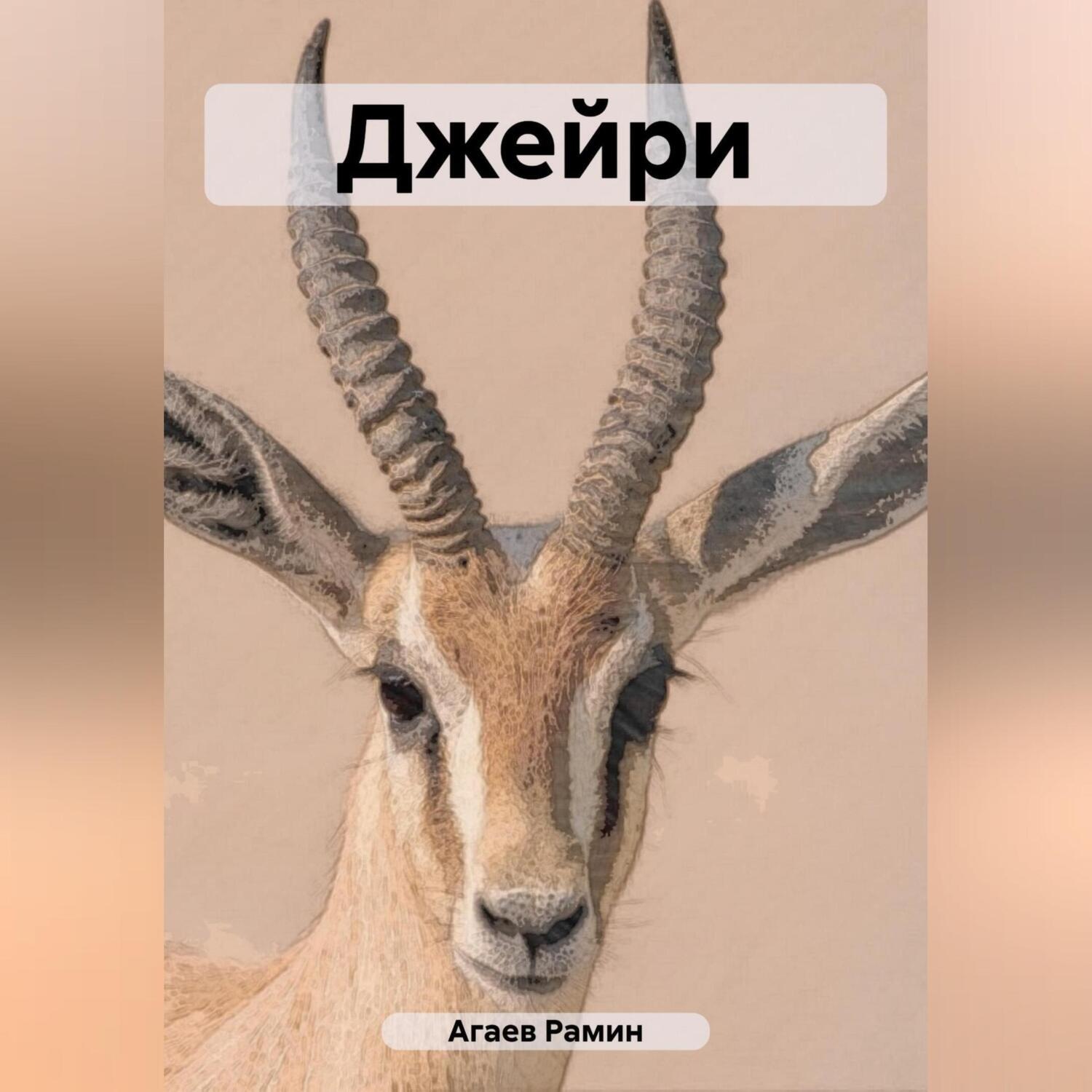 Обложка книги «Джейри»