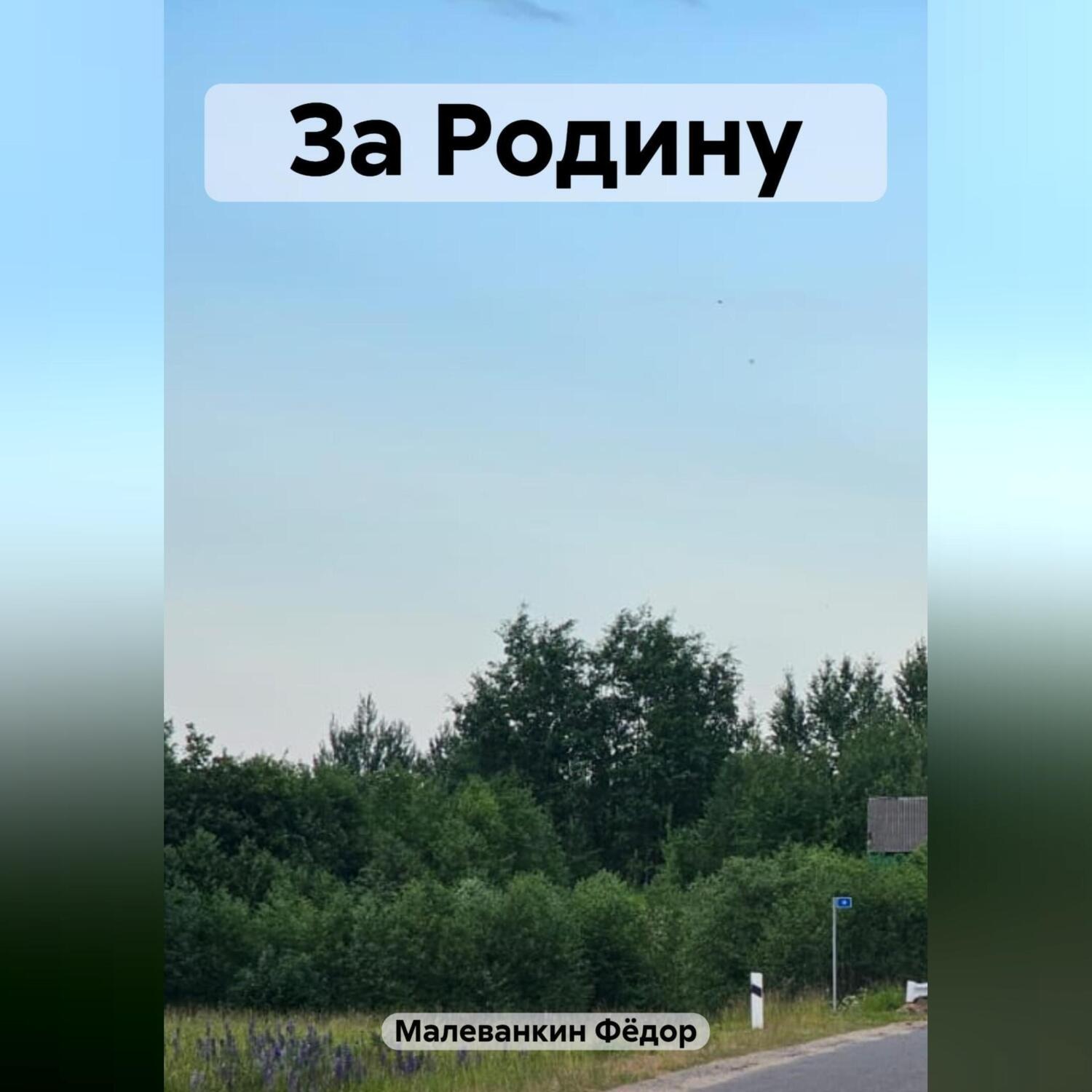 Обложка книги «За Родину»