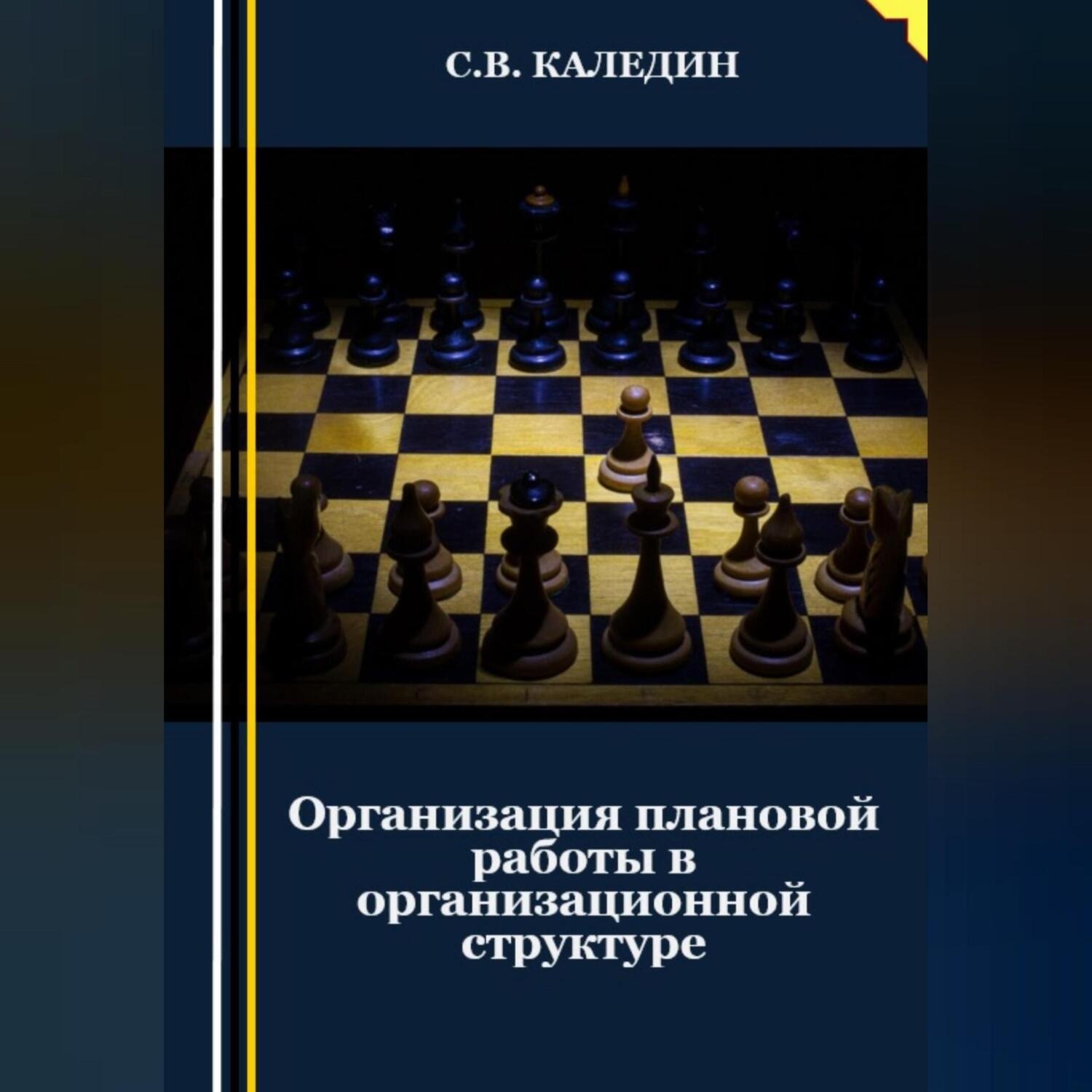 Обложка книги «Организация плановой работы в организационной структуре»