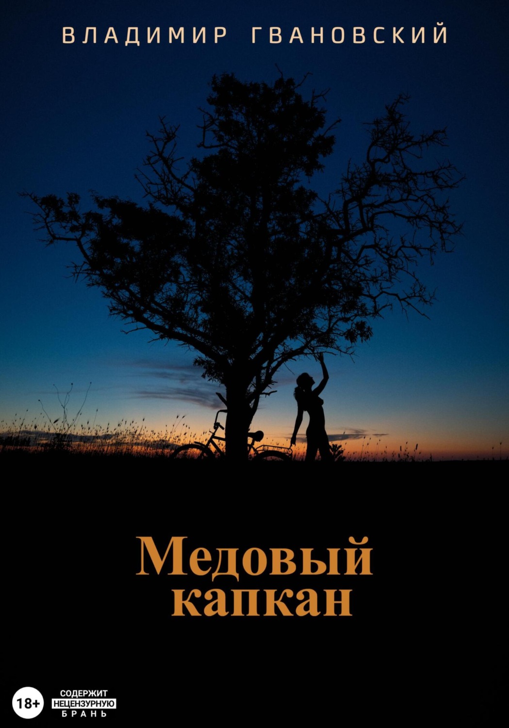 Обложка книги «Медовый капкан»