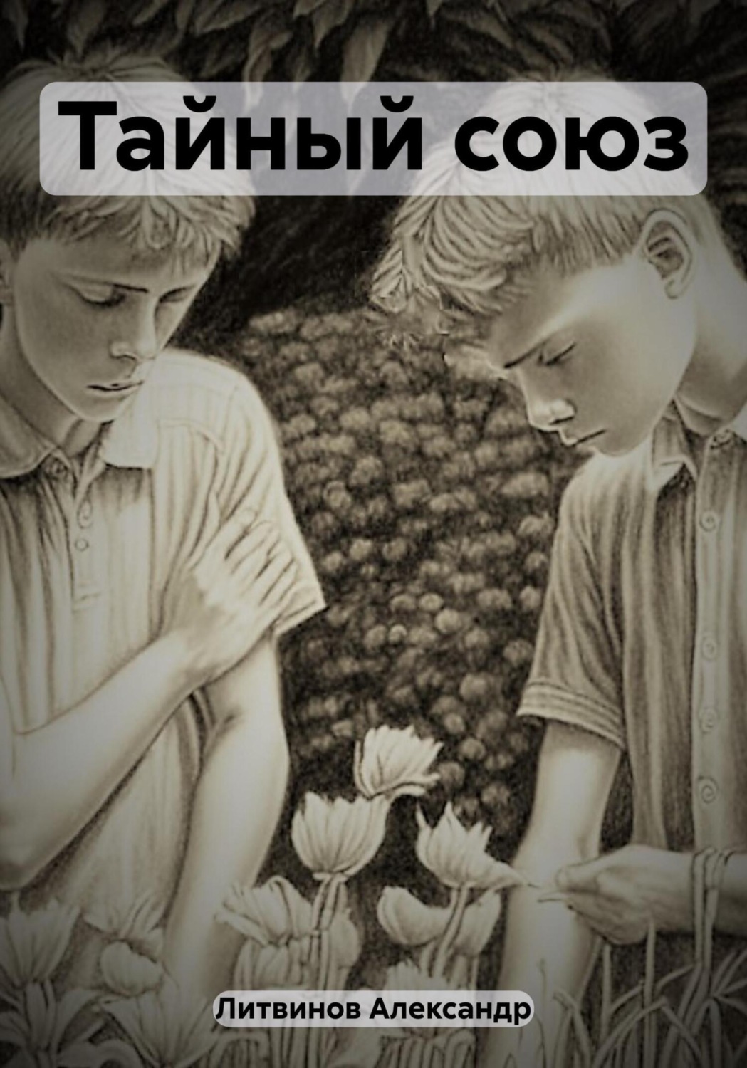 Обложка книги «Тайный союз»